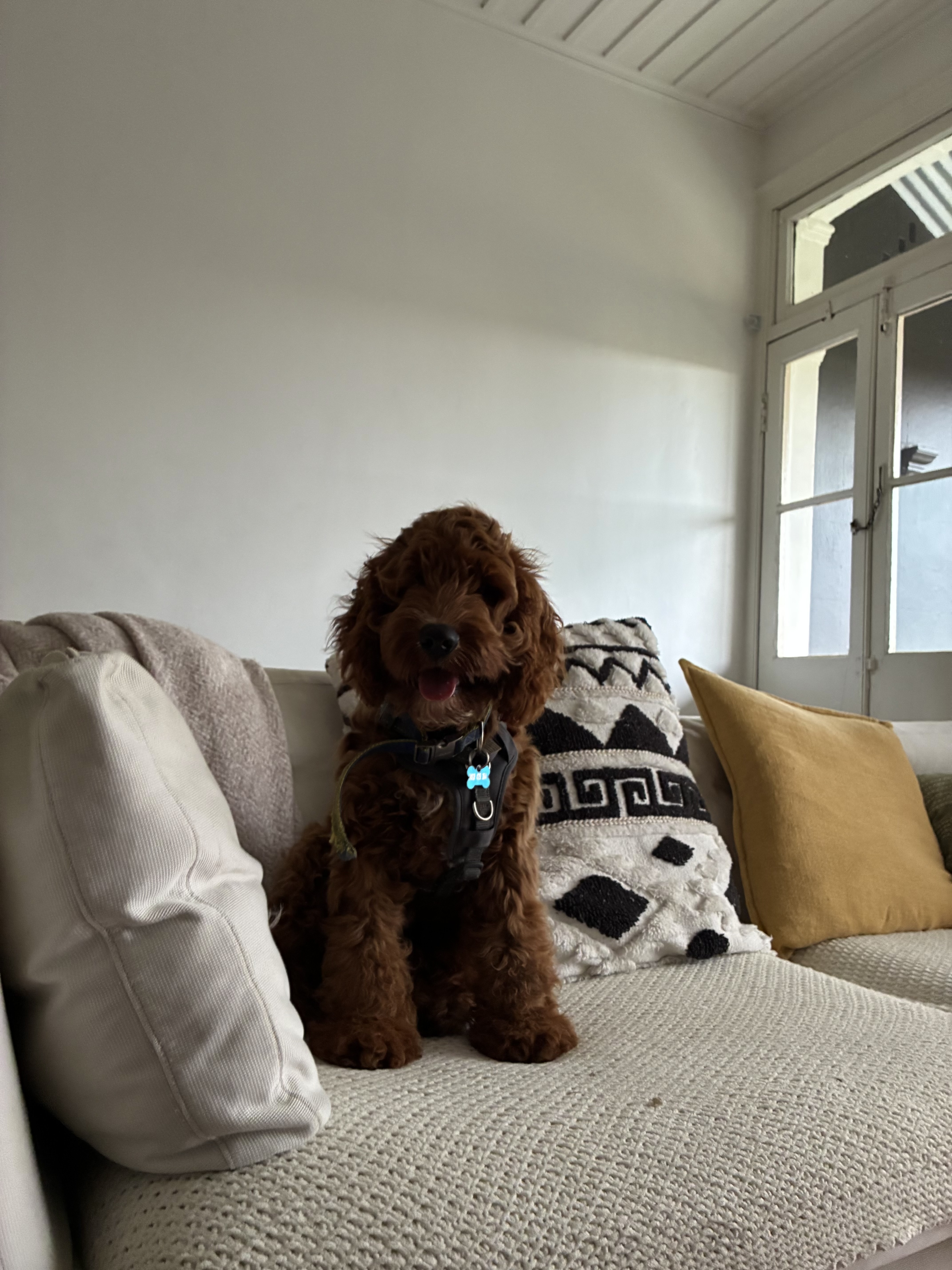 image-23