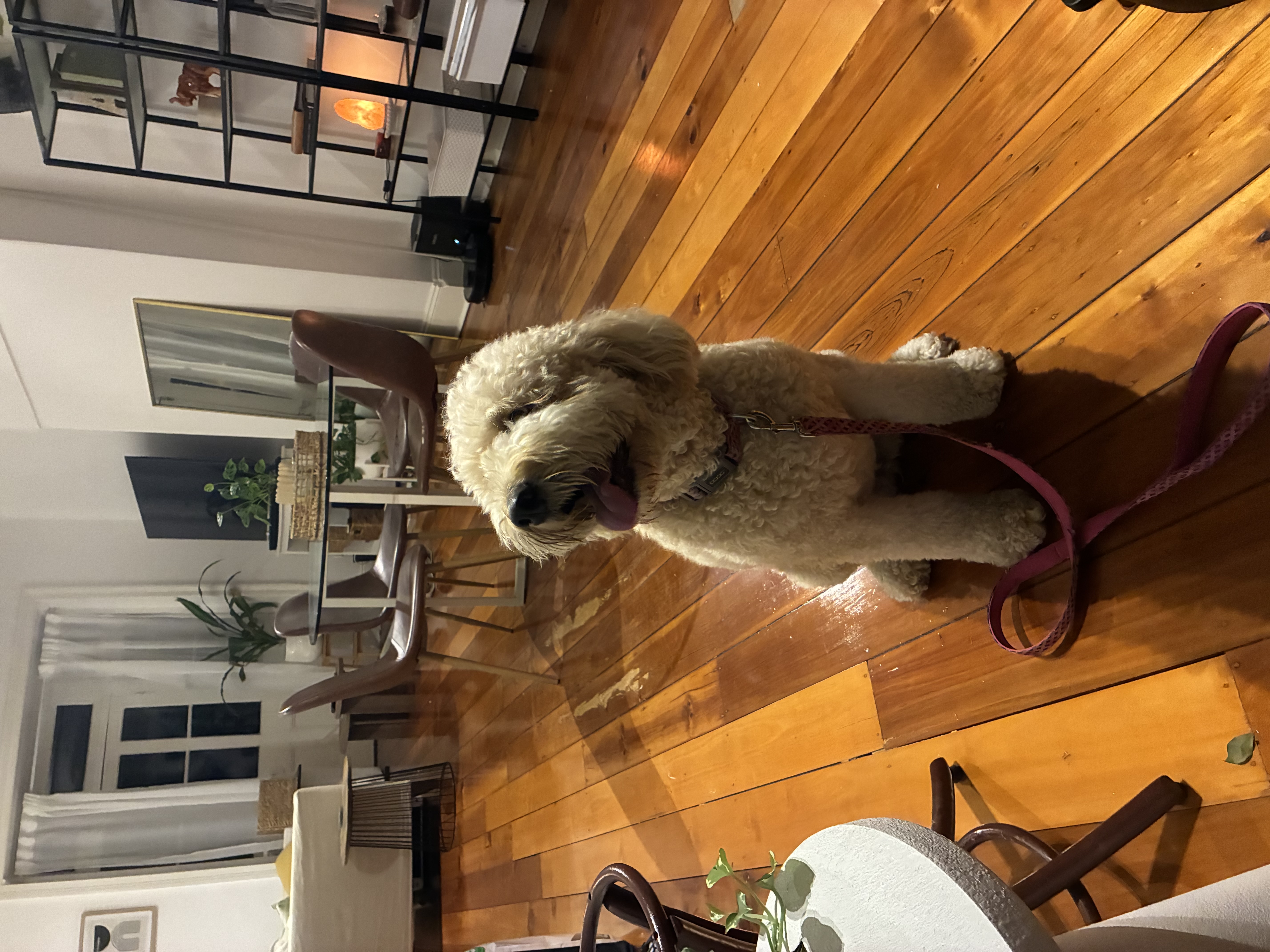 image-29