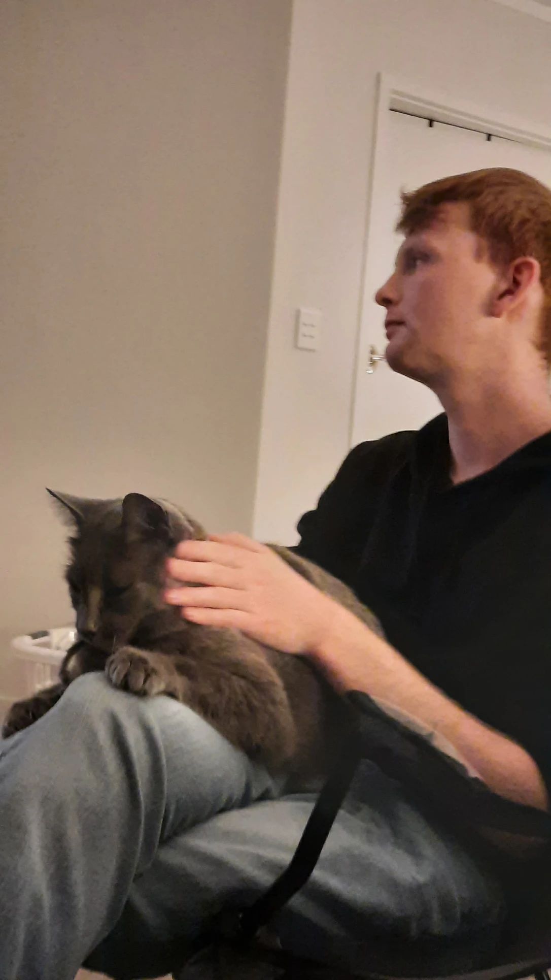 image-5