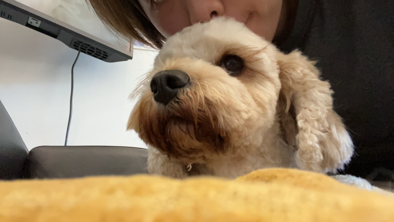 image-11