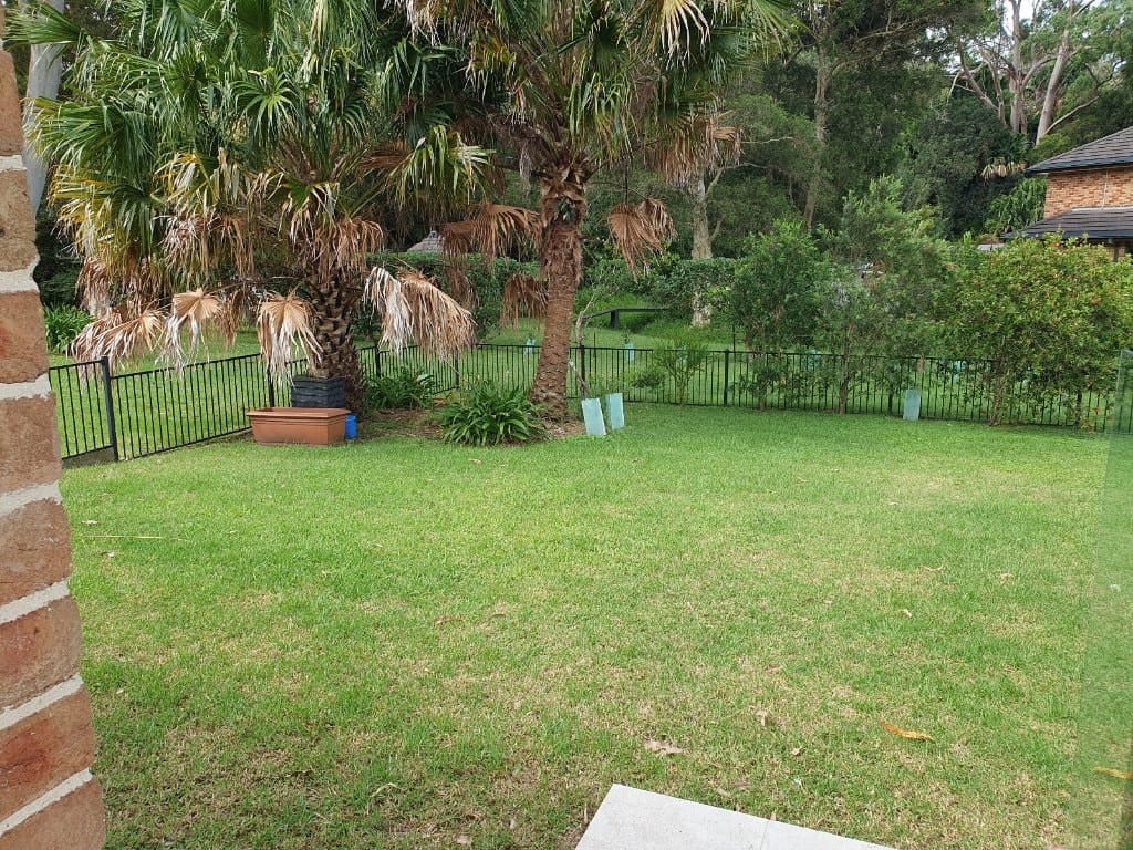 image-16