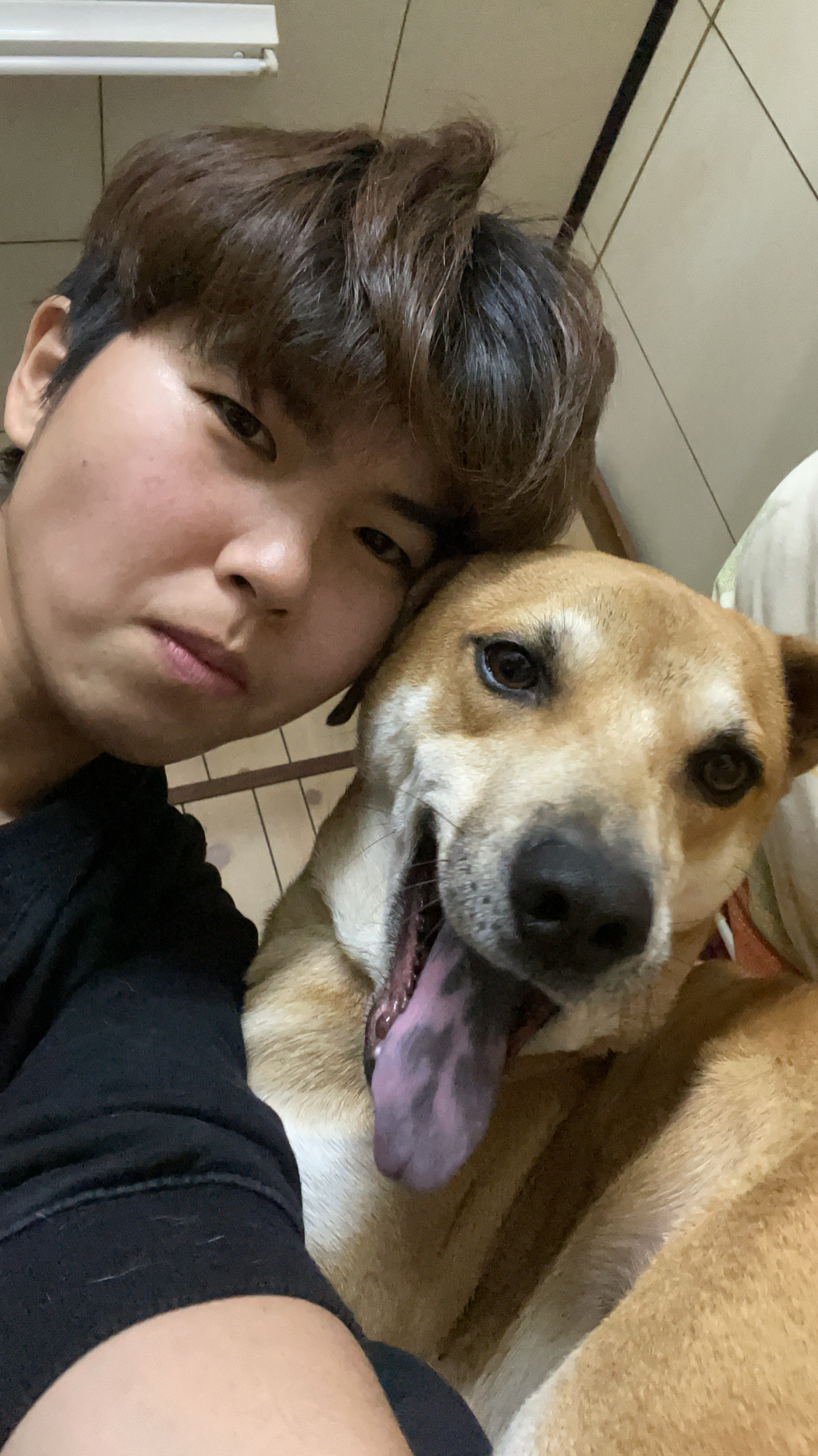 image-17