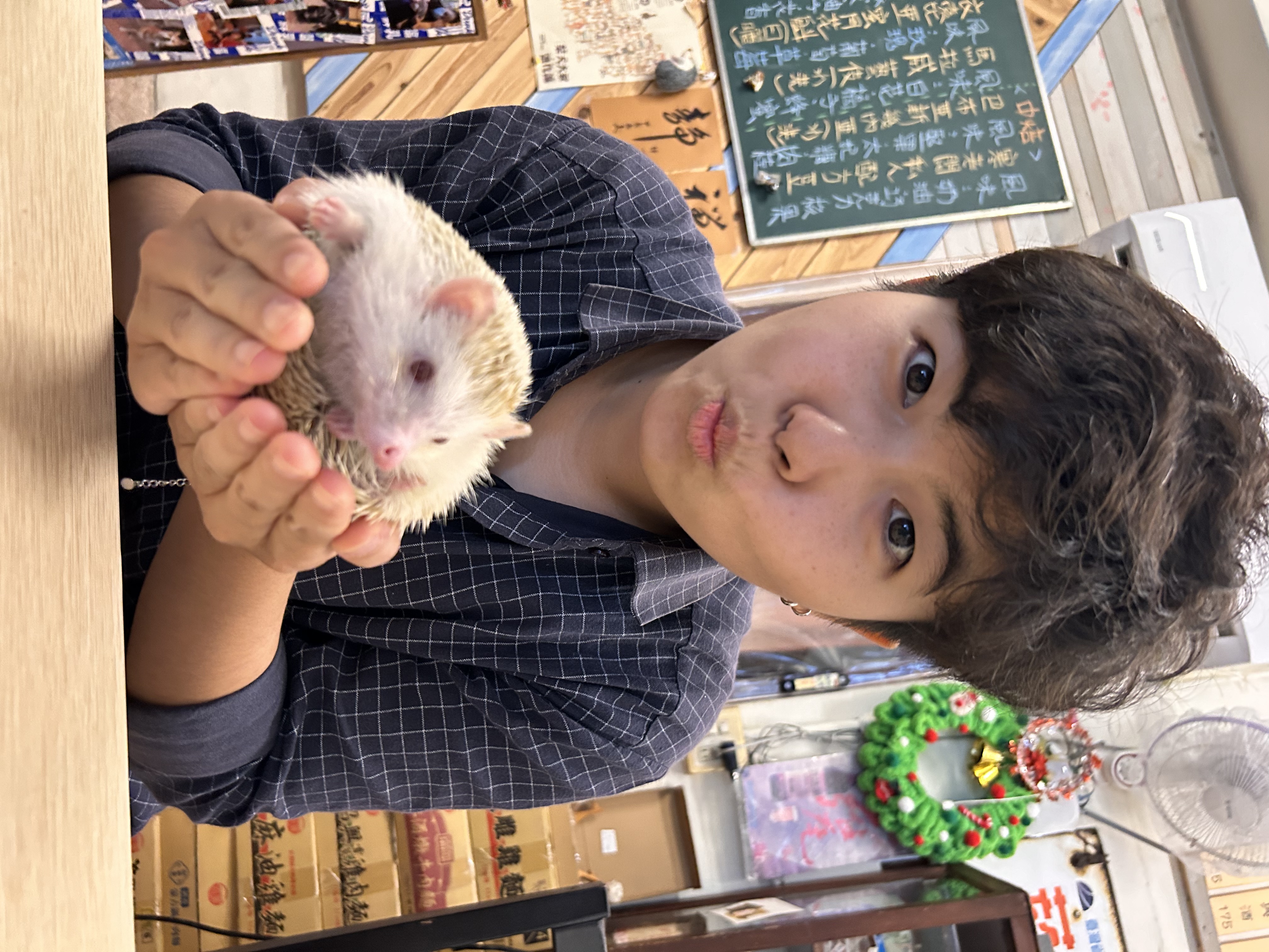image-6