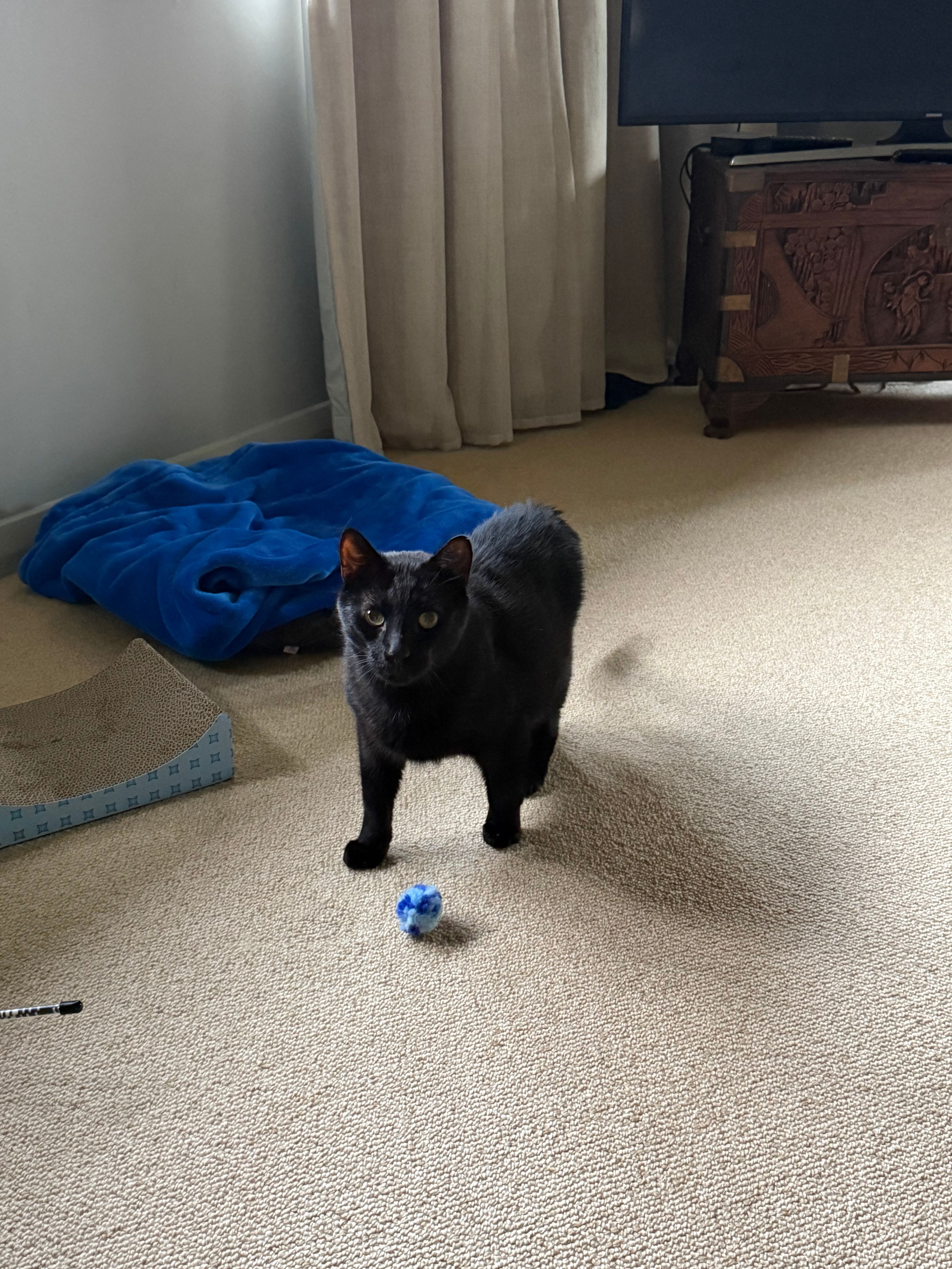 image-6