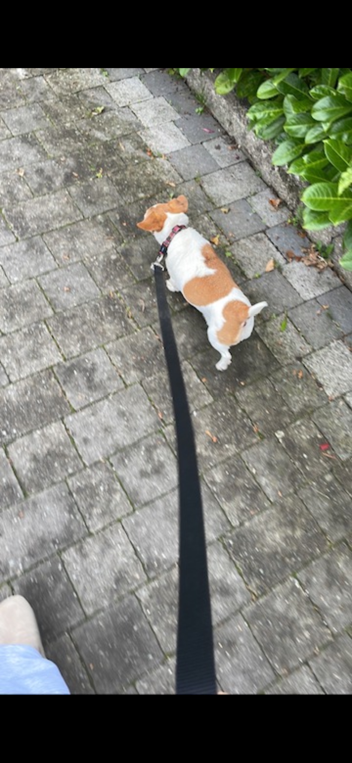 image-8