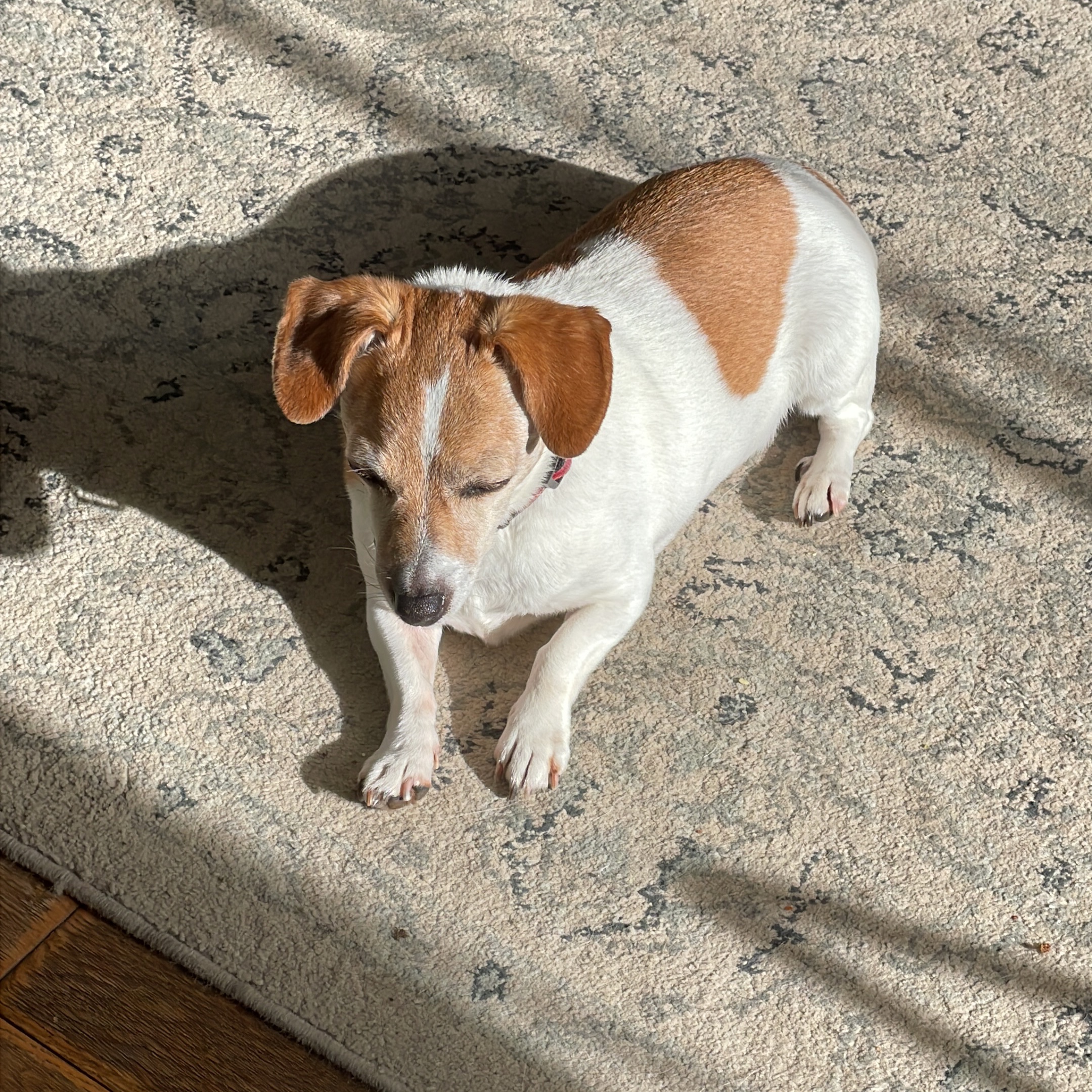 Sally