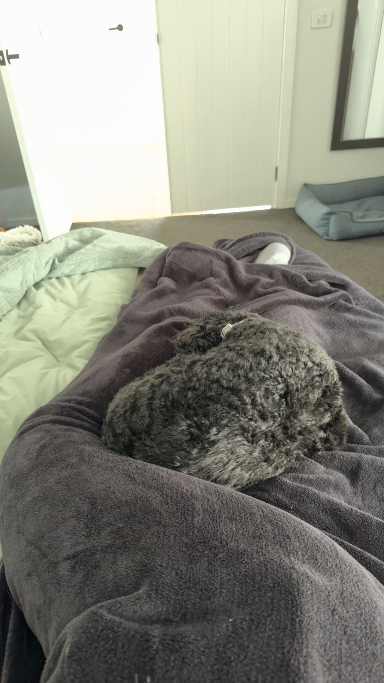image-5