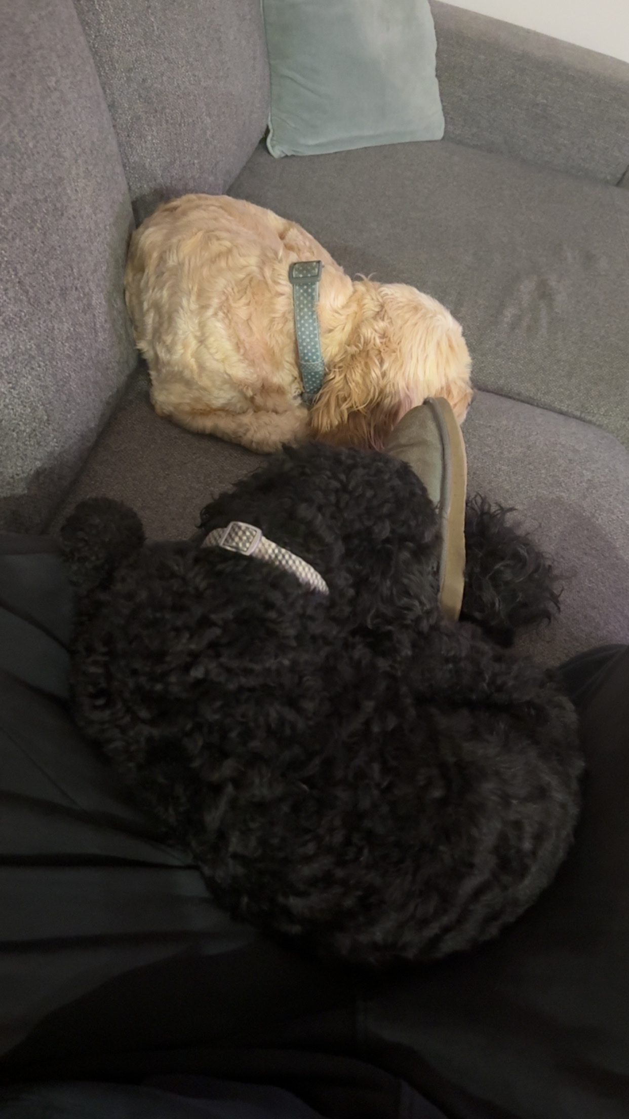 image-8