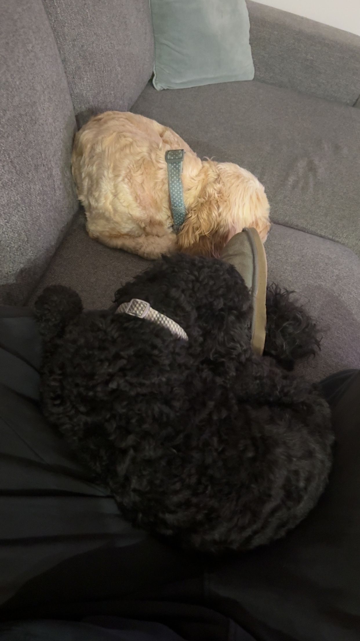 image-8
