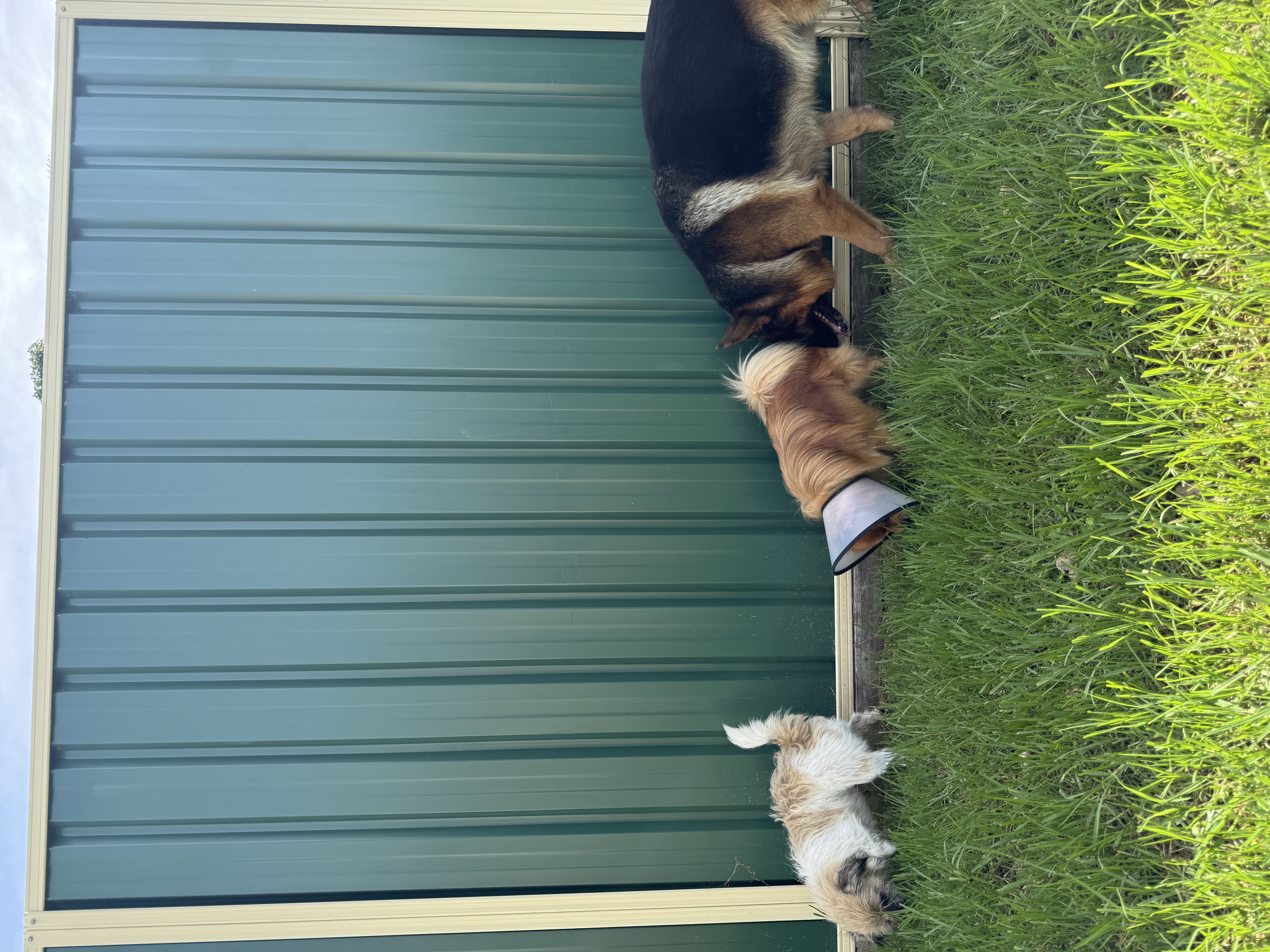 image-5