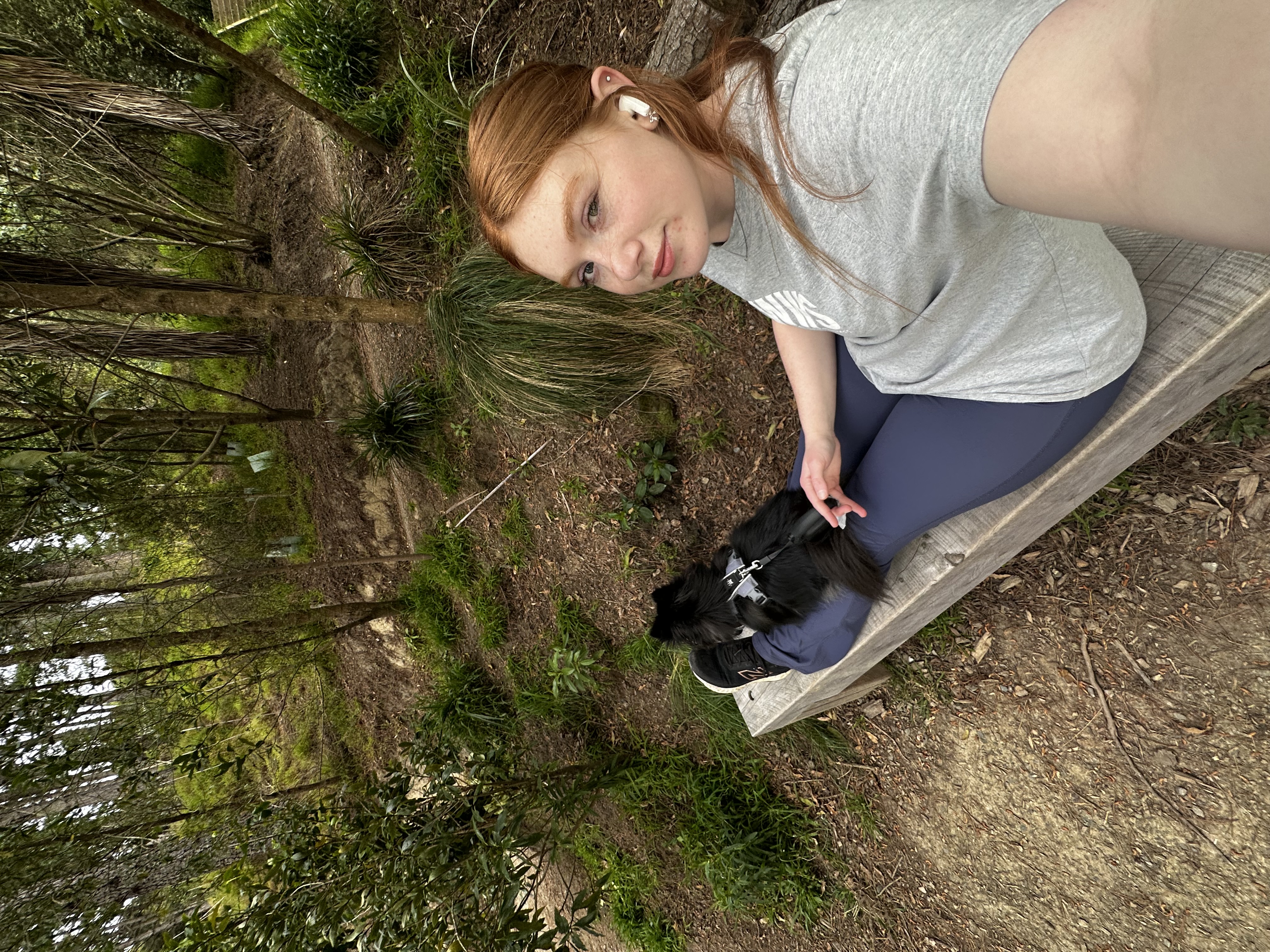 image-7