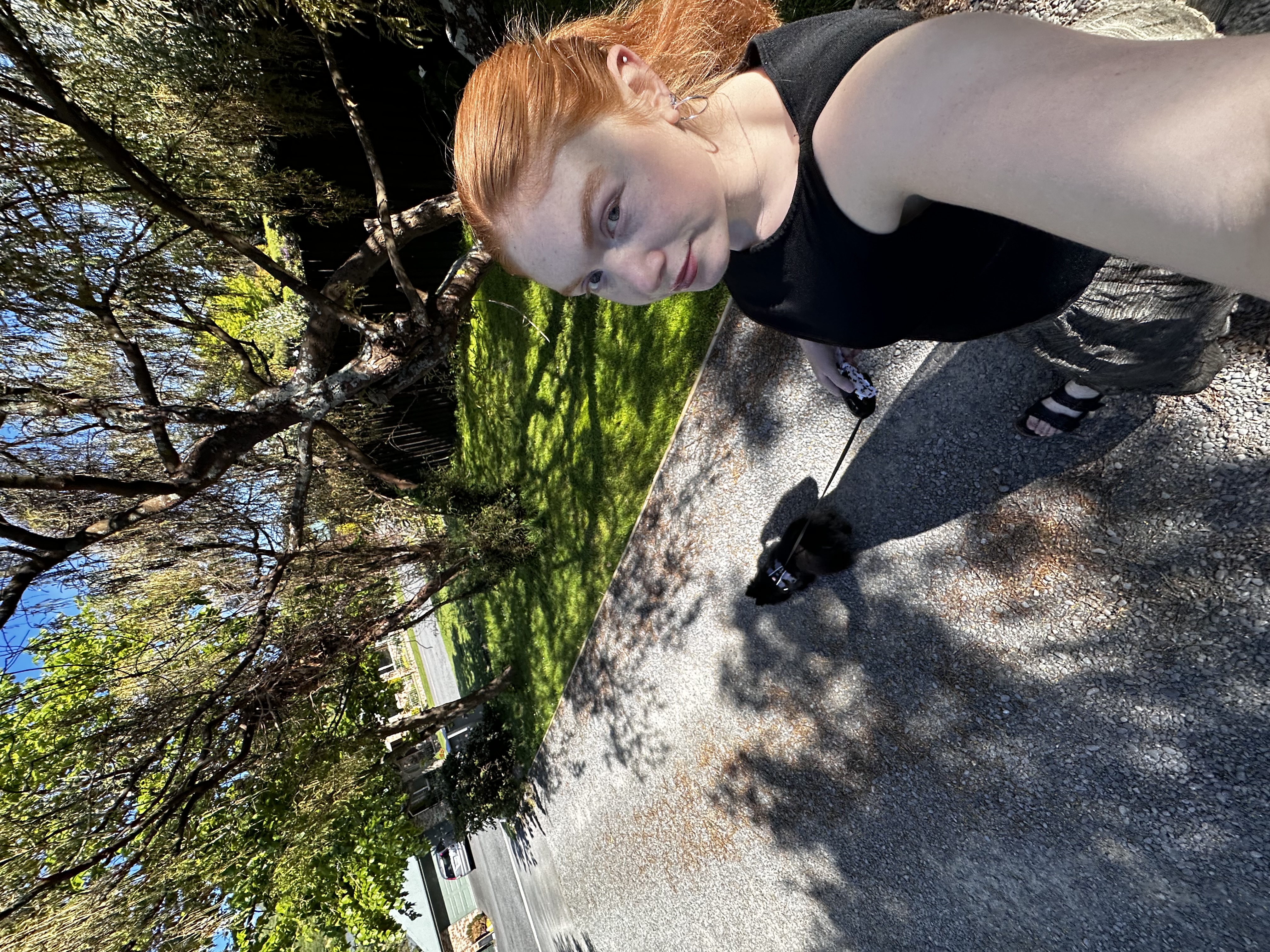 image-4