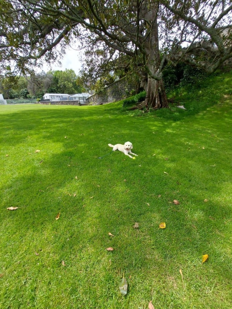 image-46