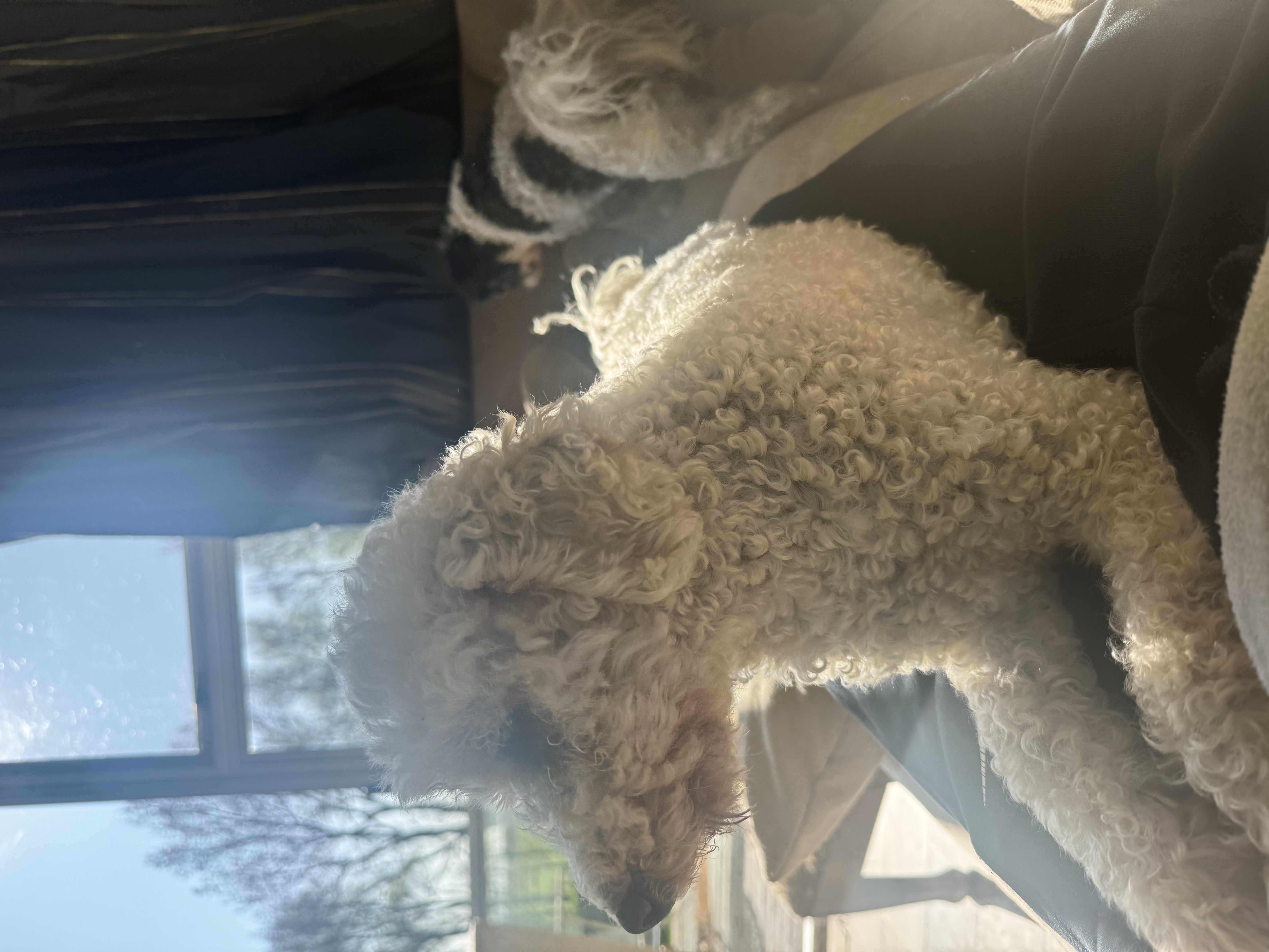 image-5