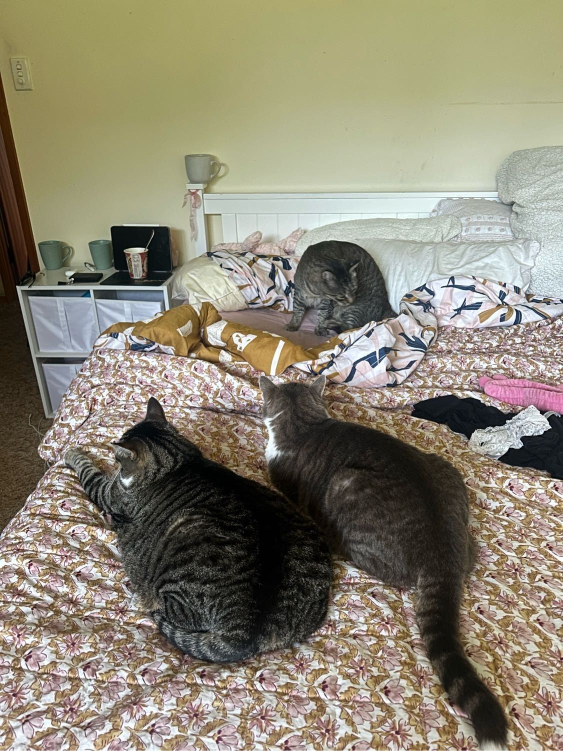 image-6