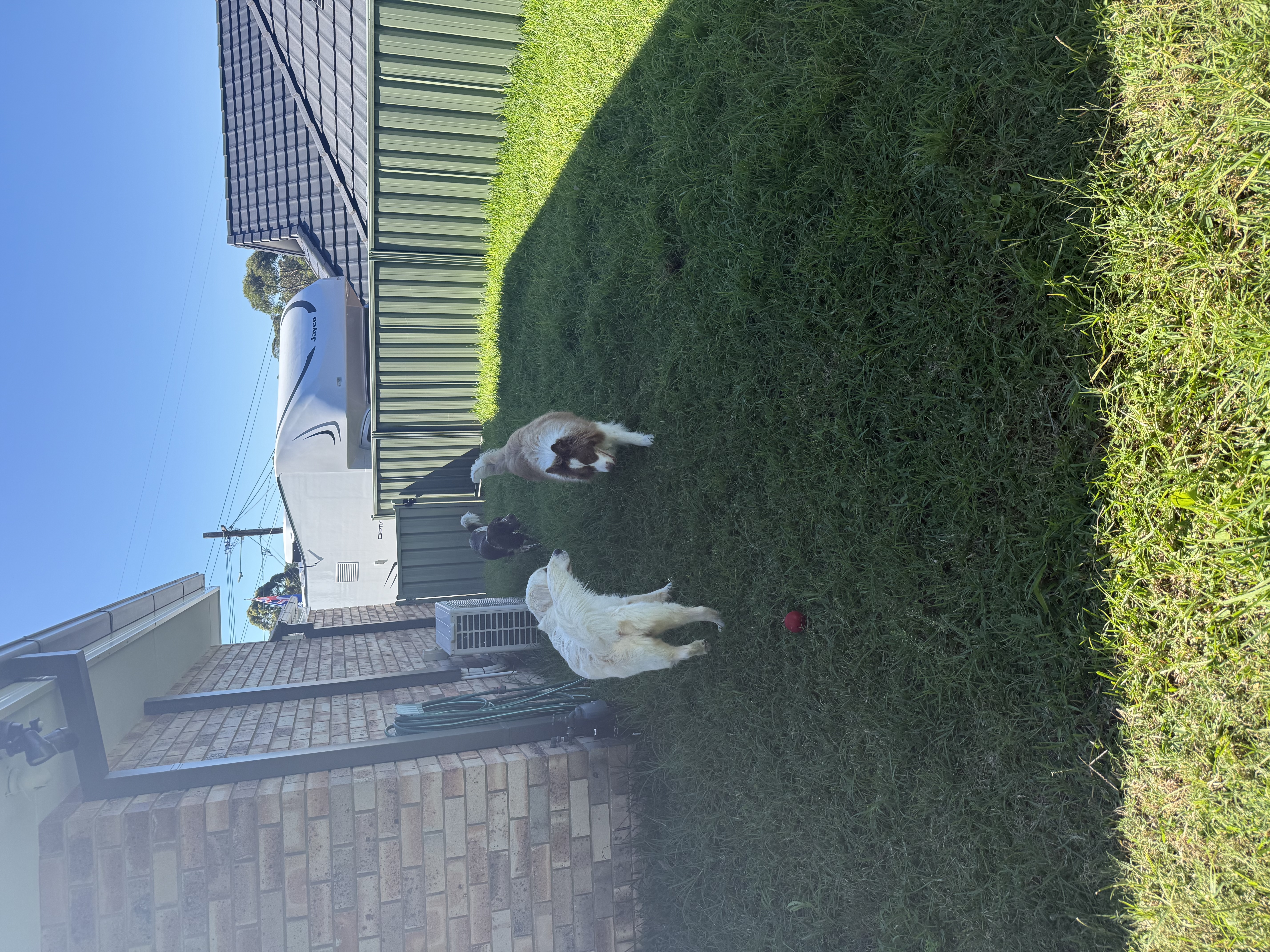 image-10