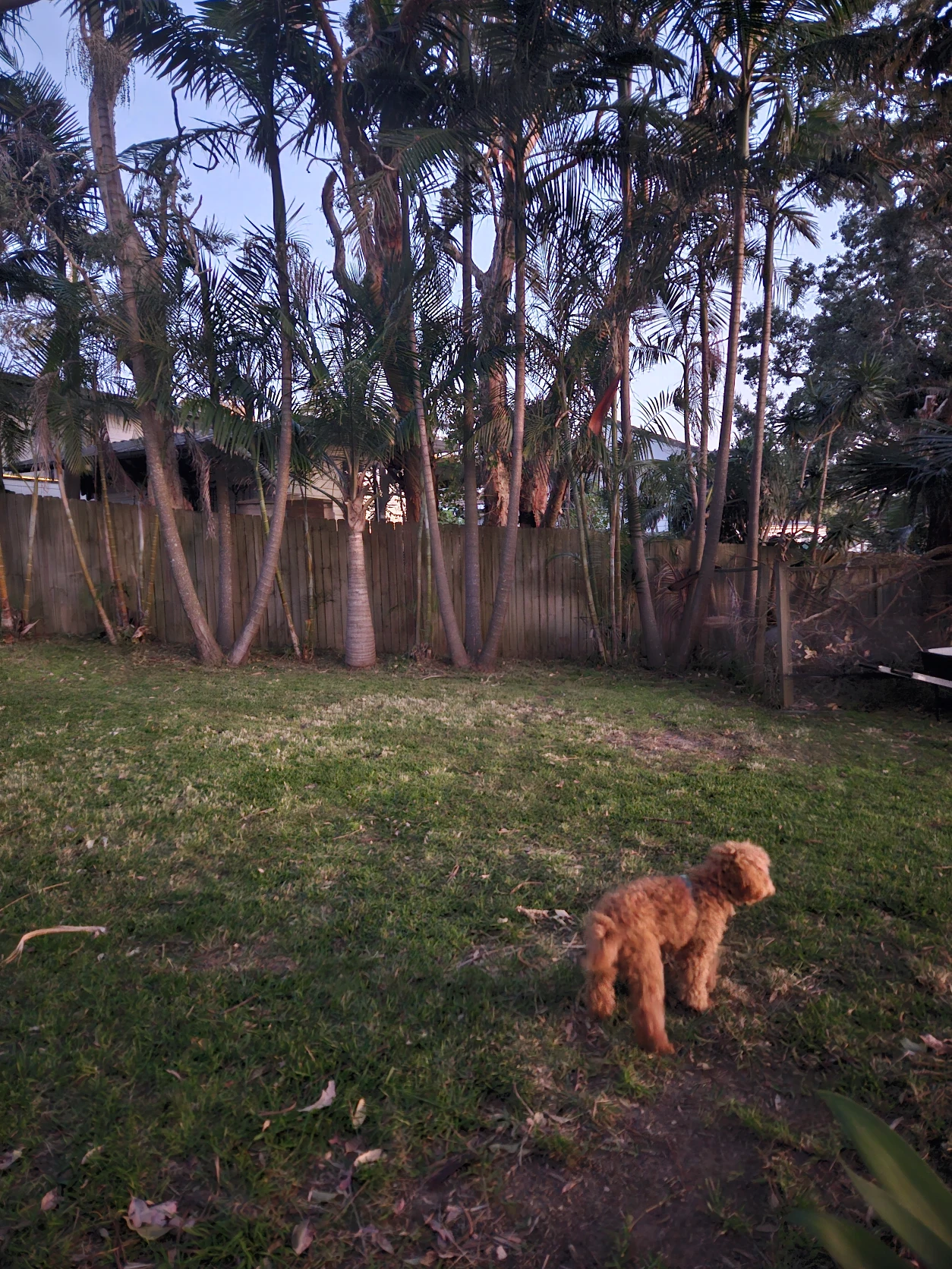image-3