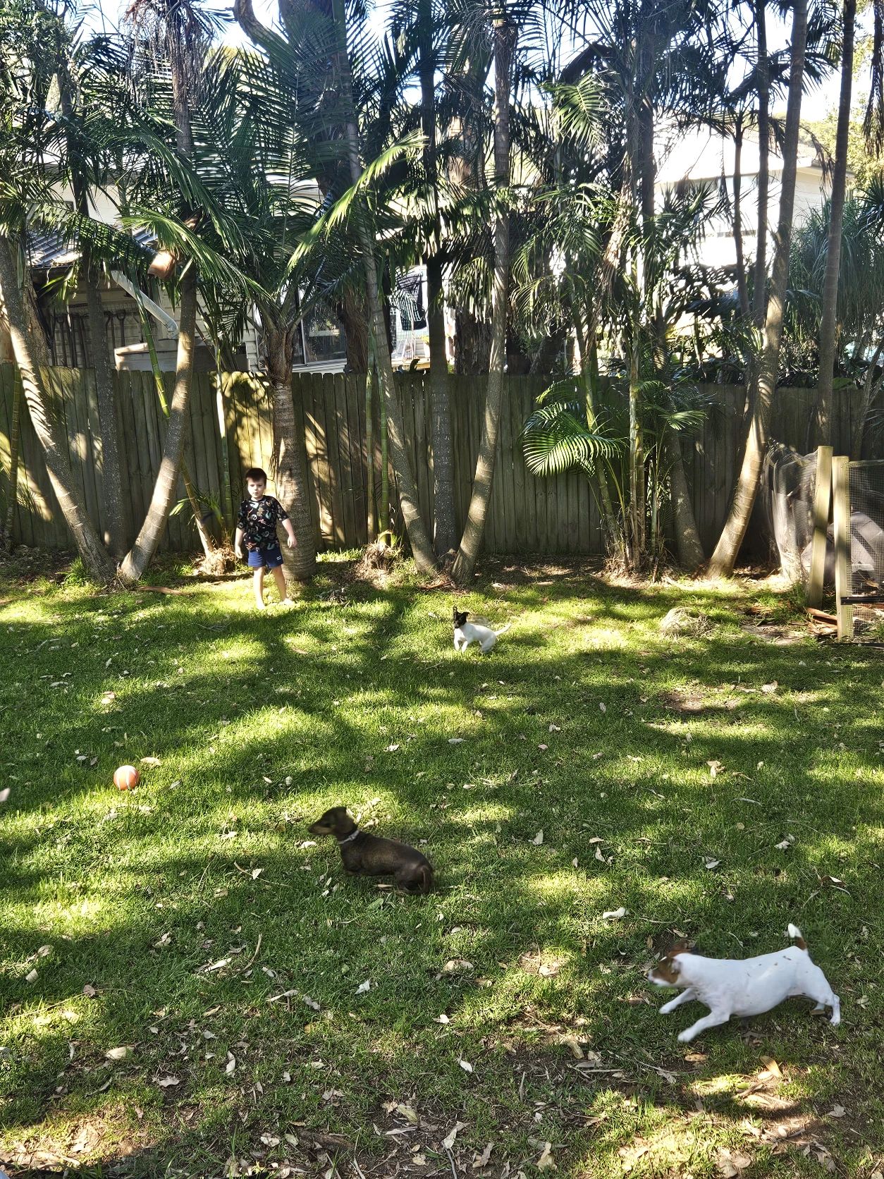 image-11