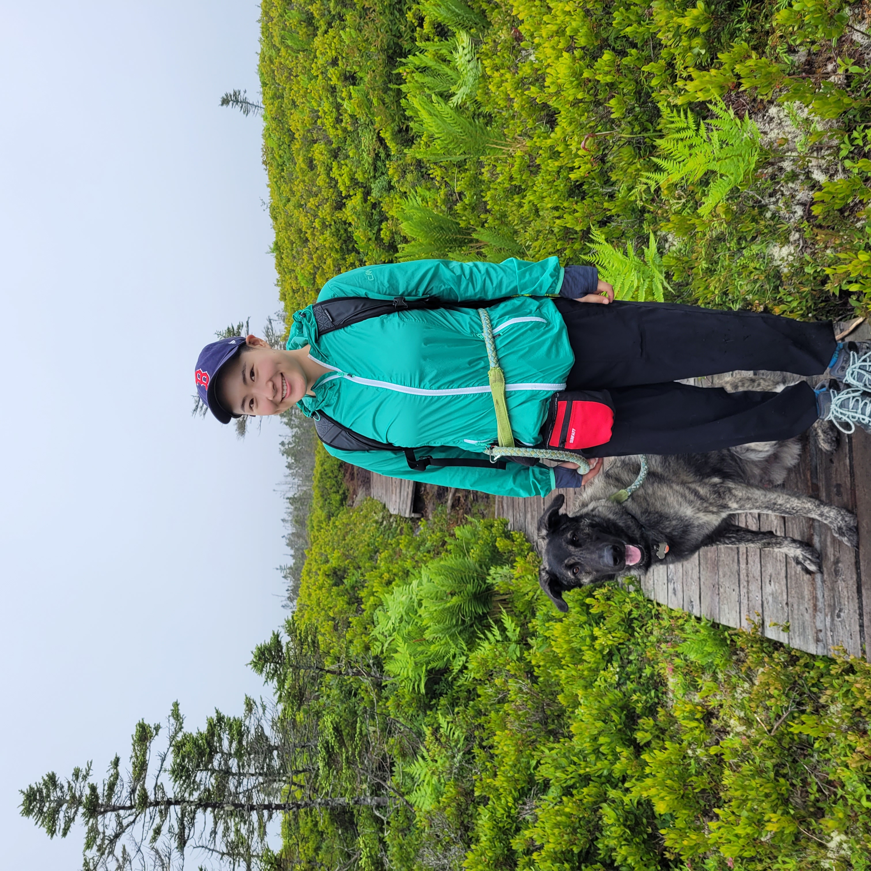 image-7