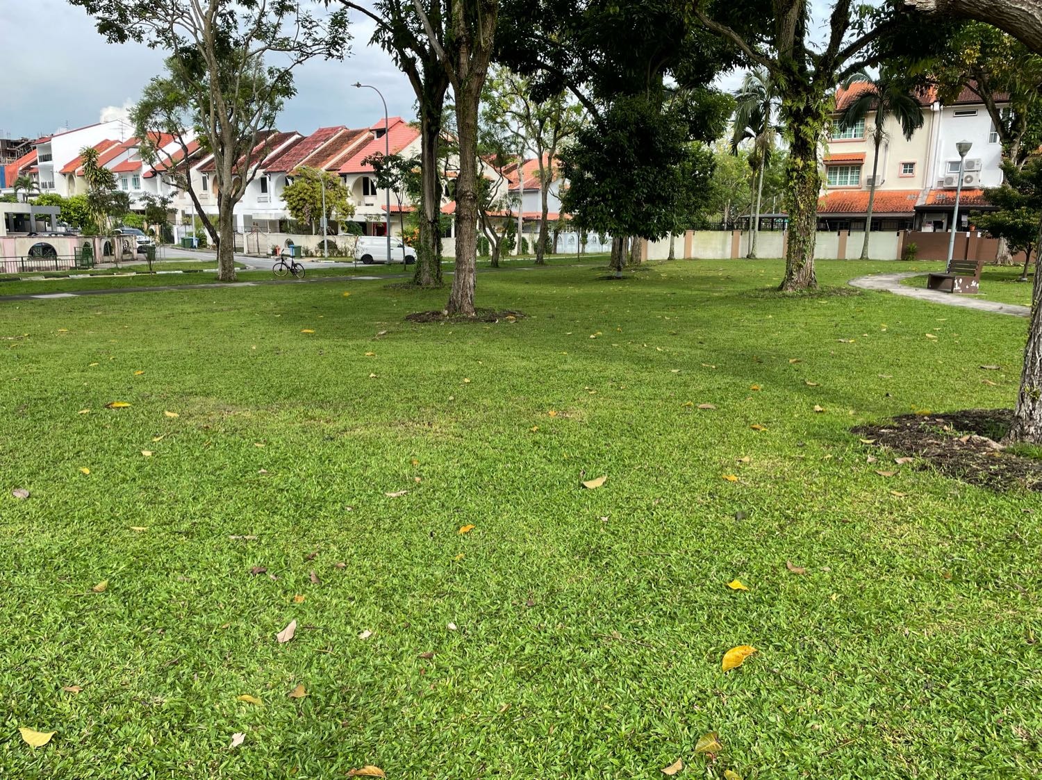 image-11