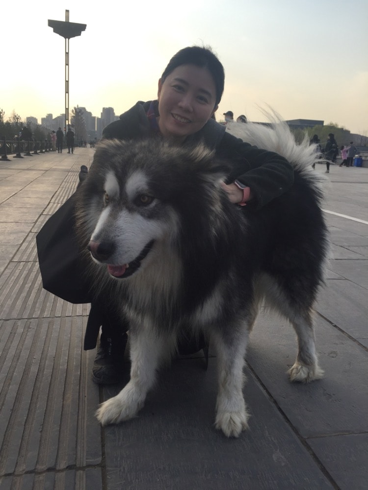 image-5