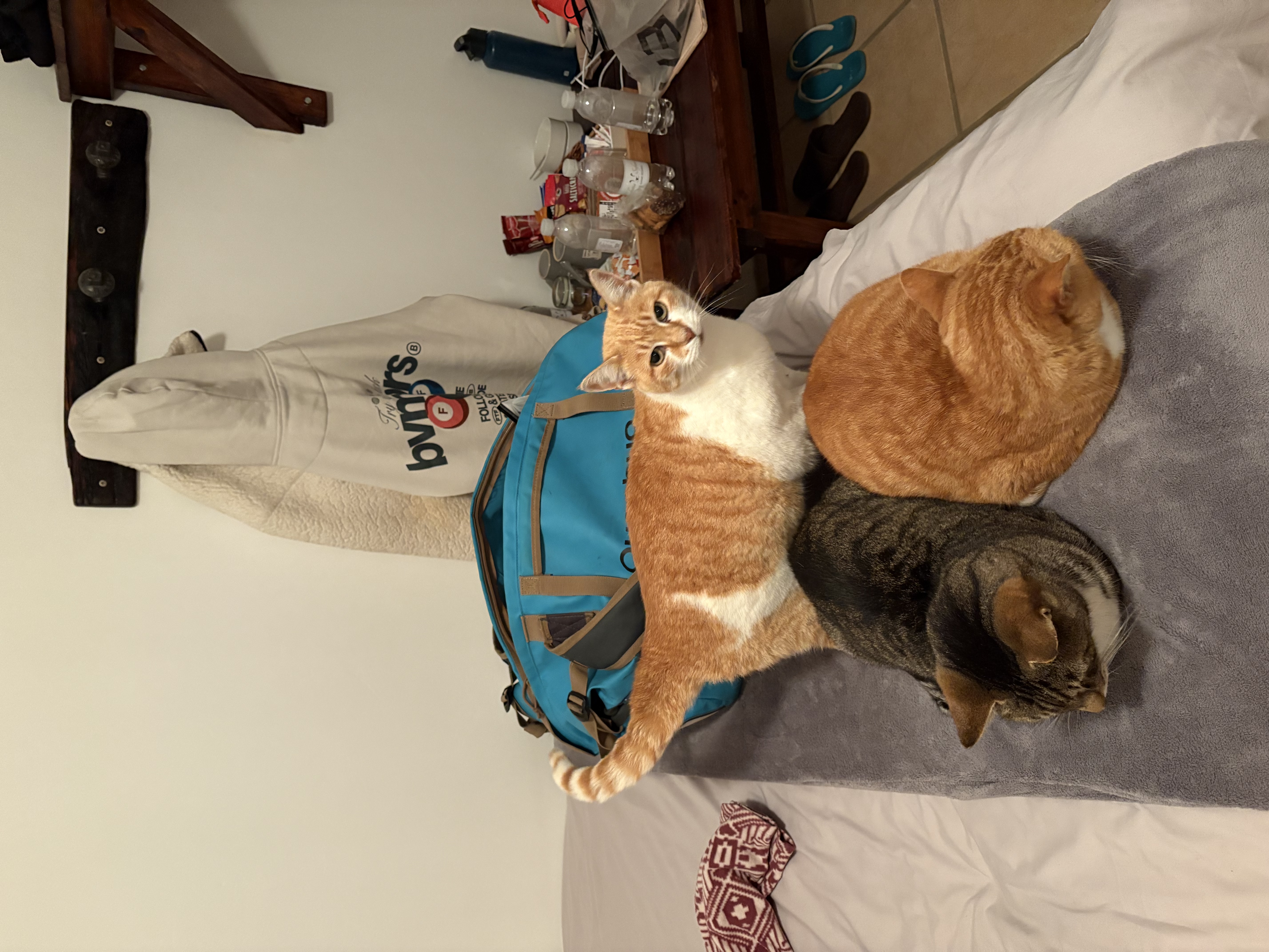 image-18