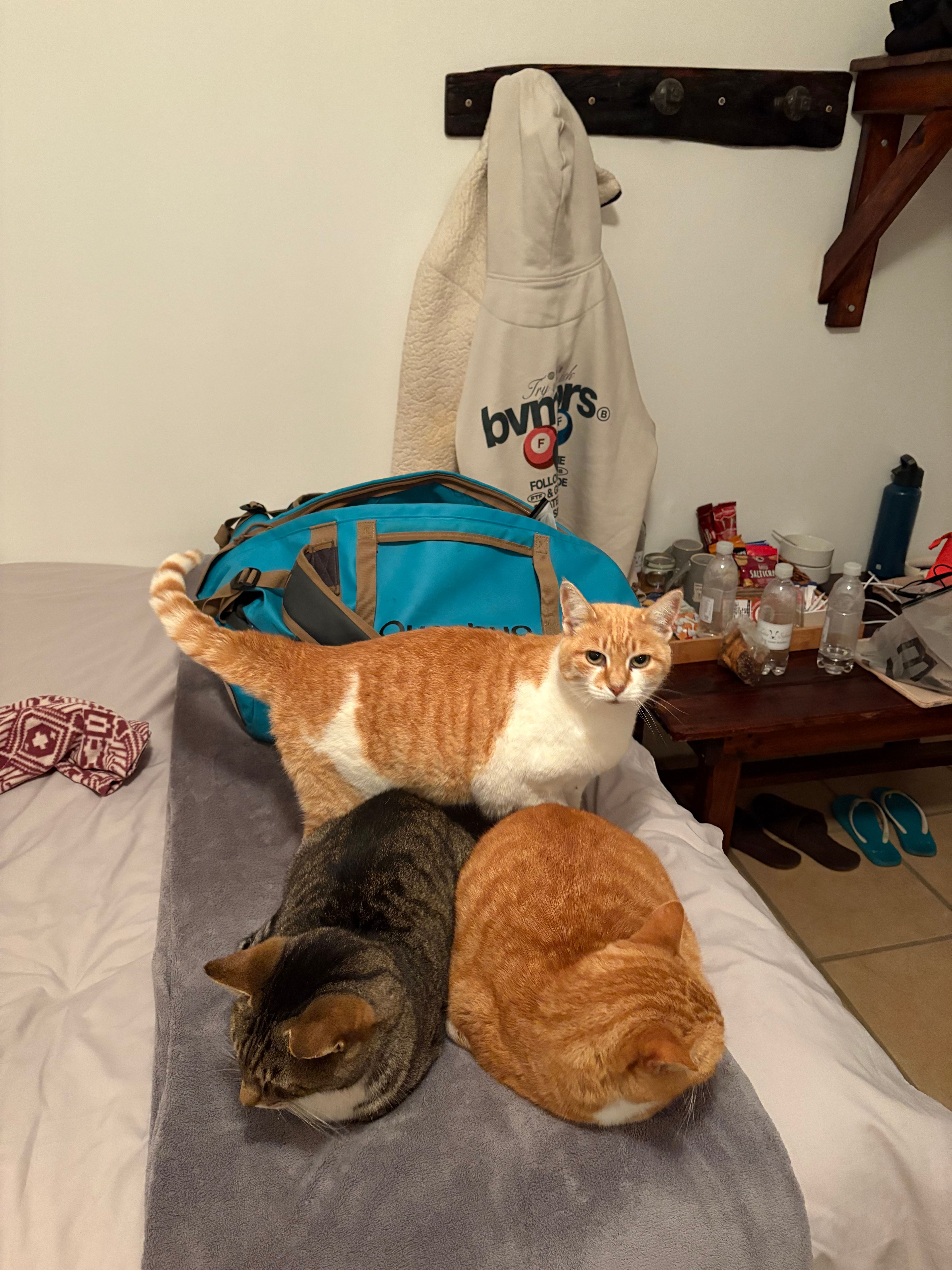 image-18