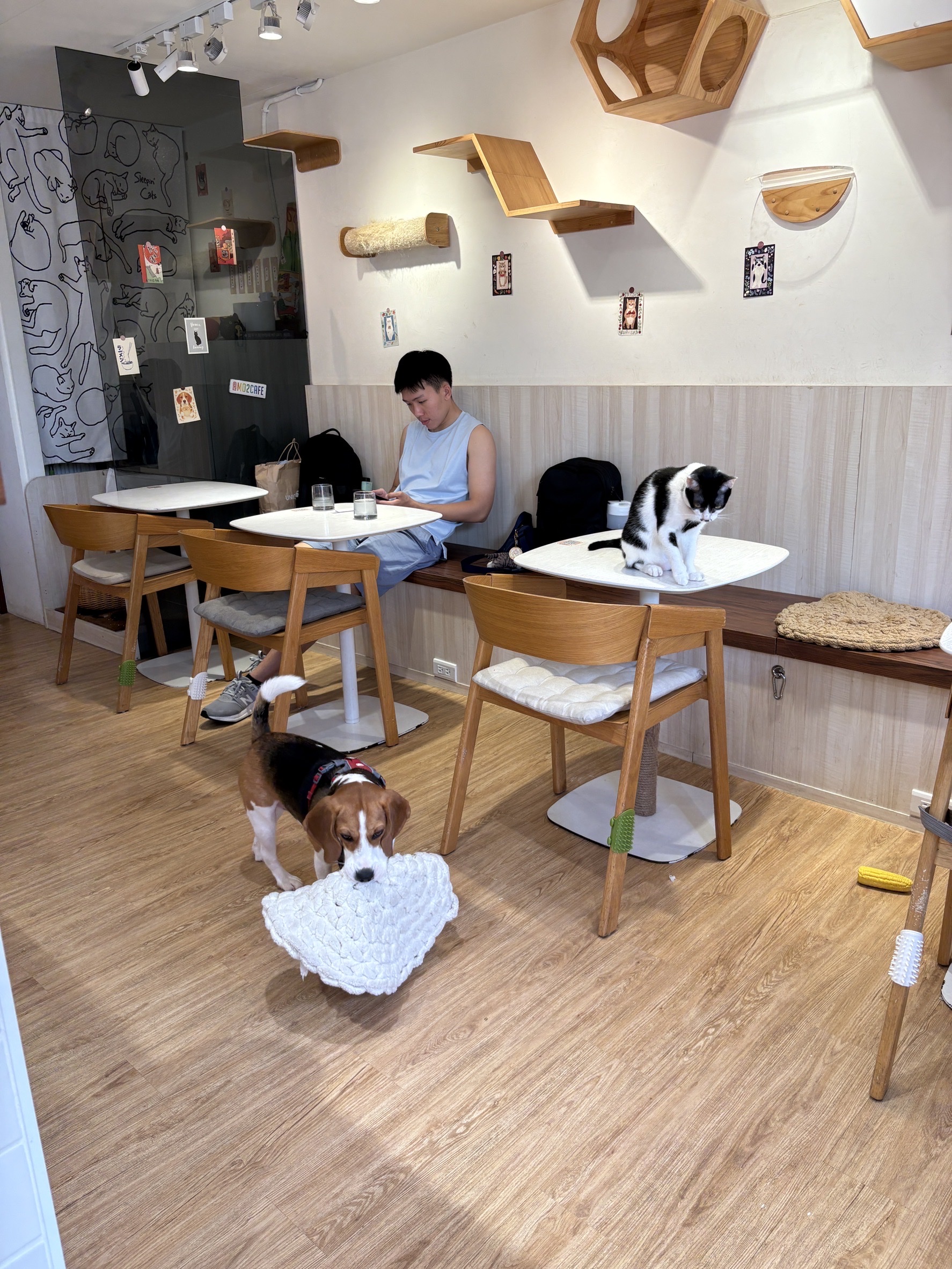image-3