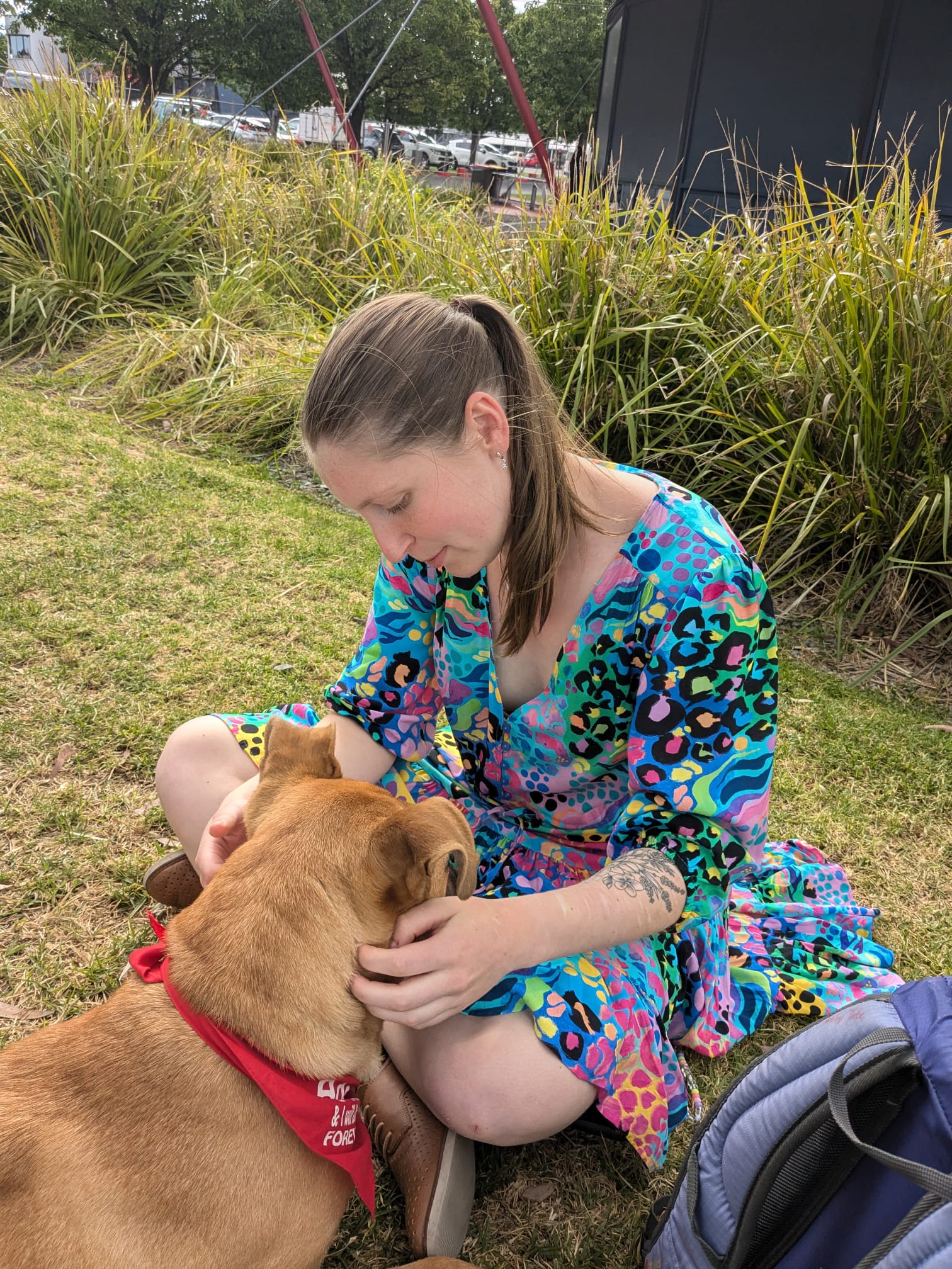 image-13