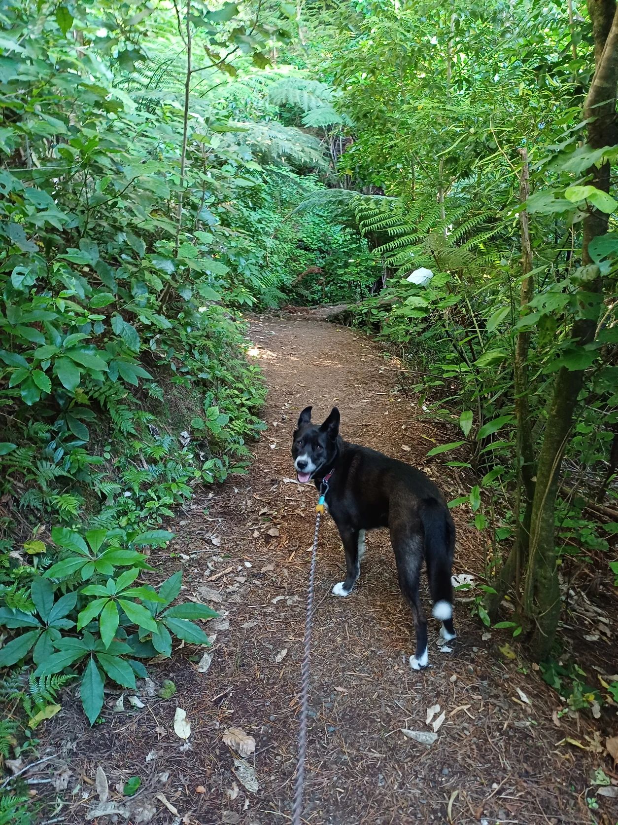 image-12