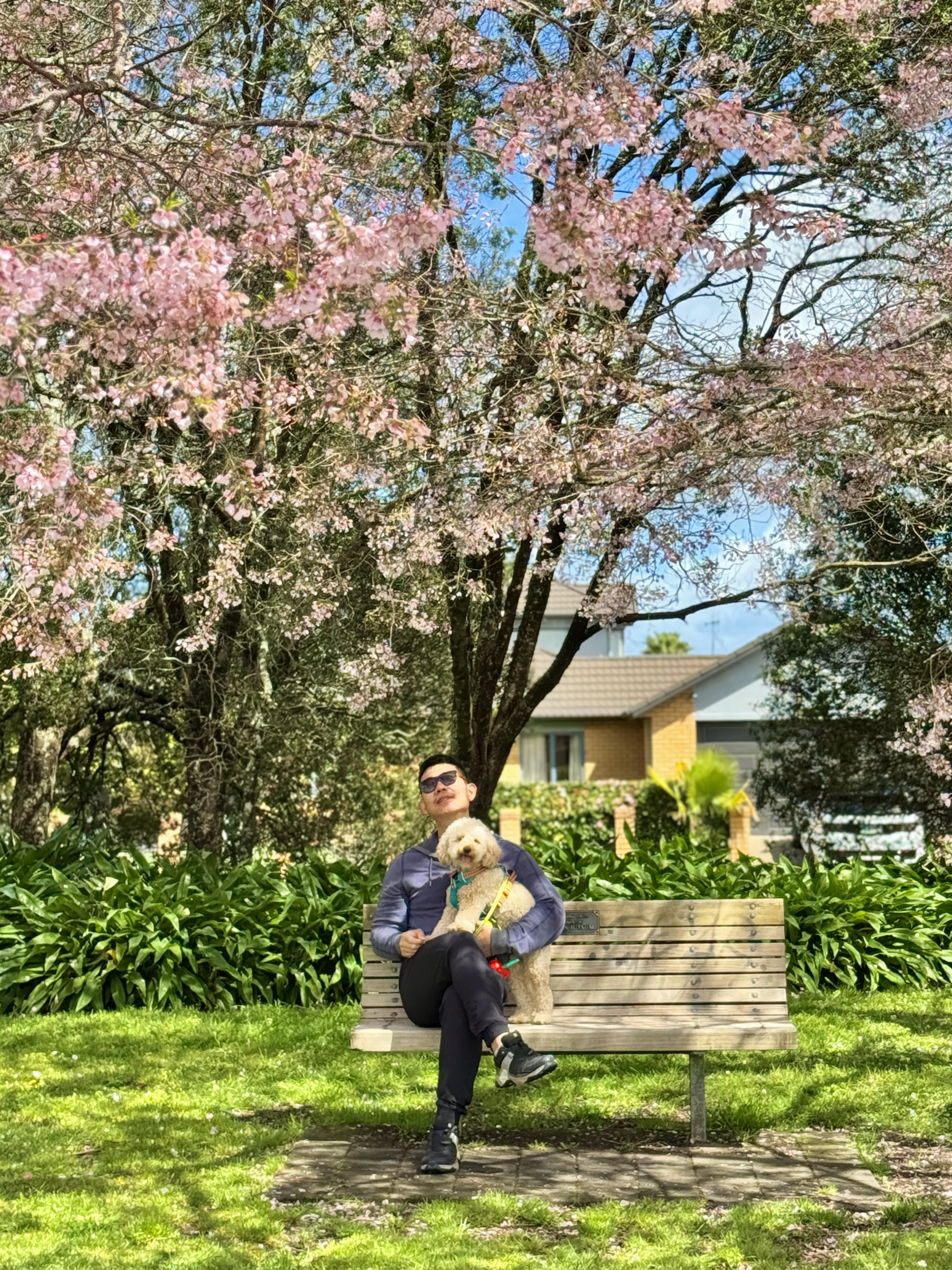 image-0