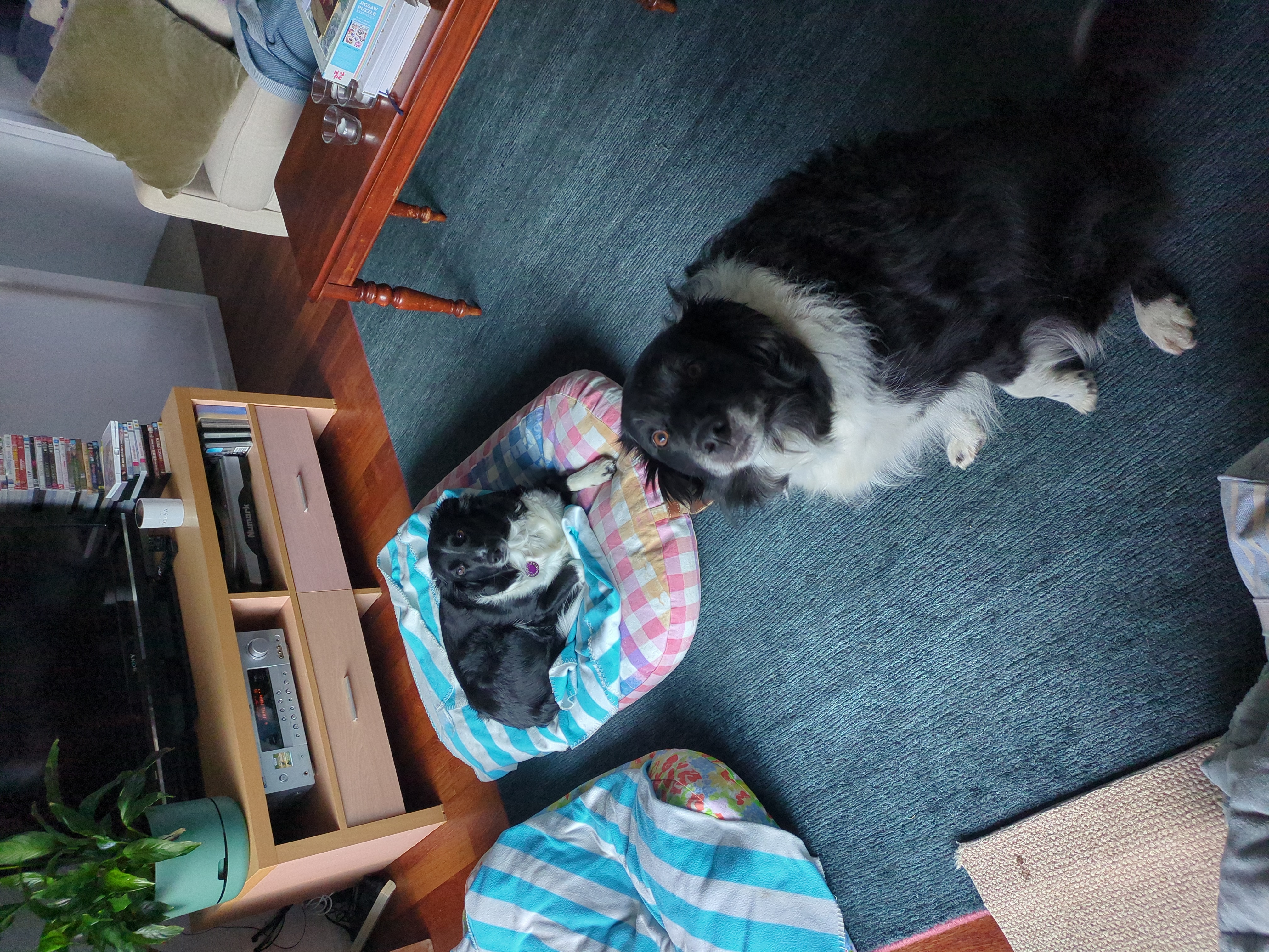 image-3