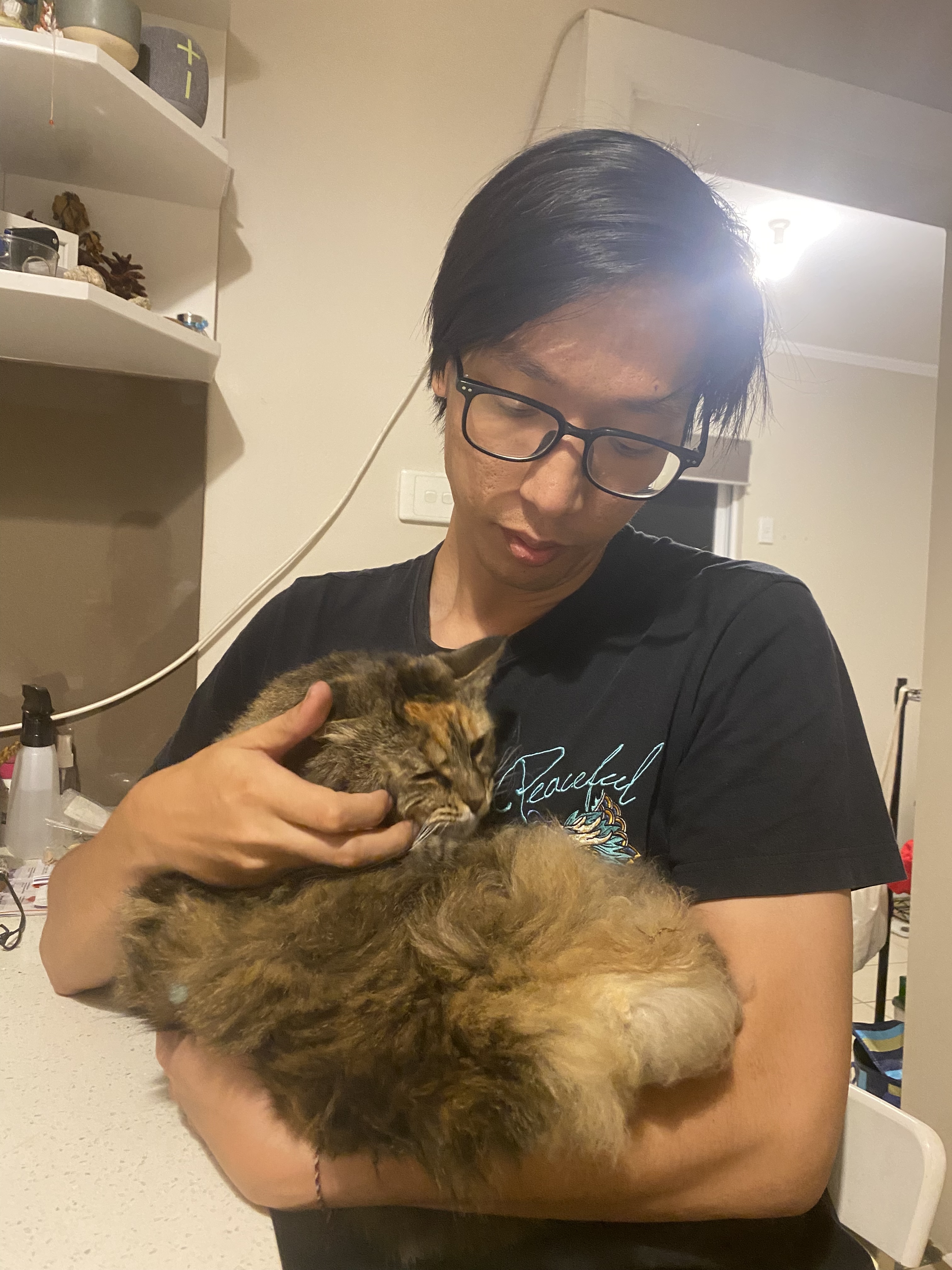 image-28