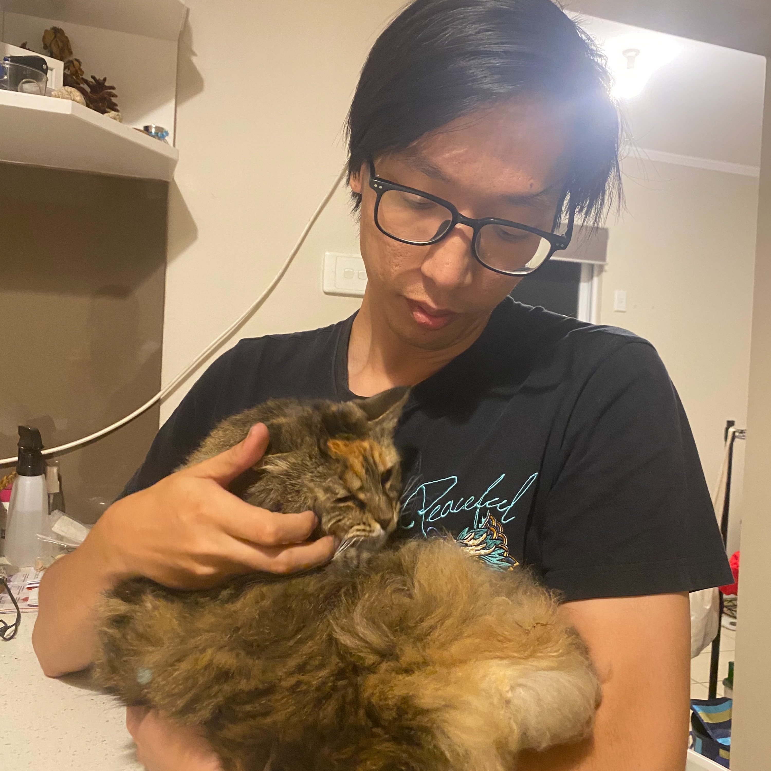 Zongjie