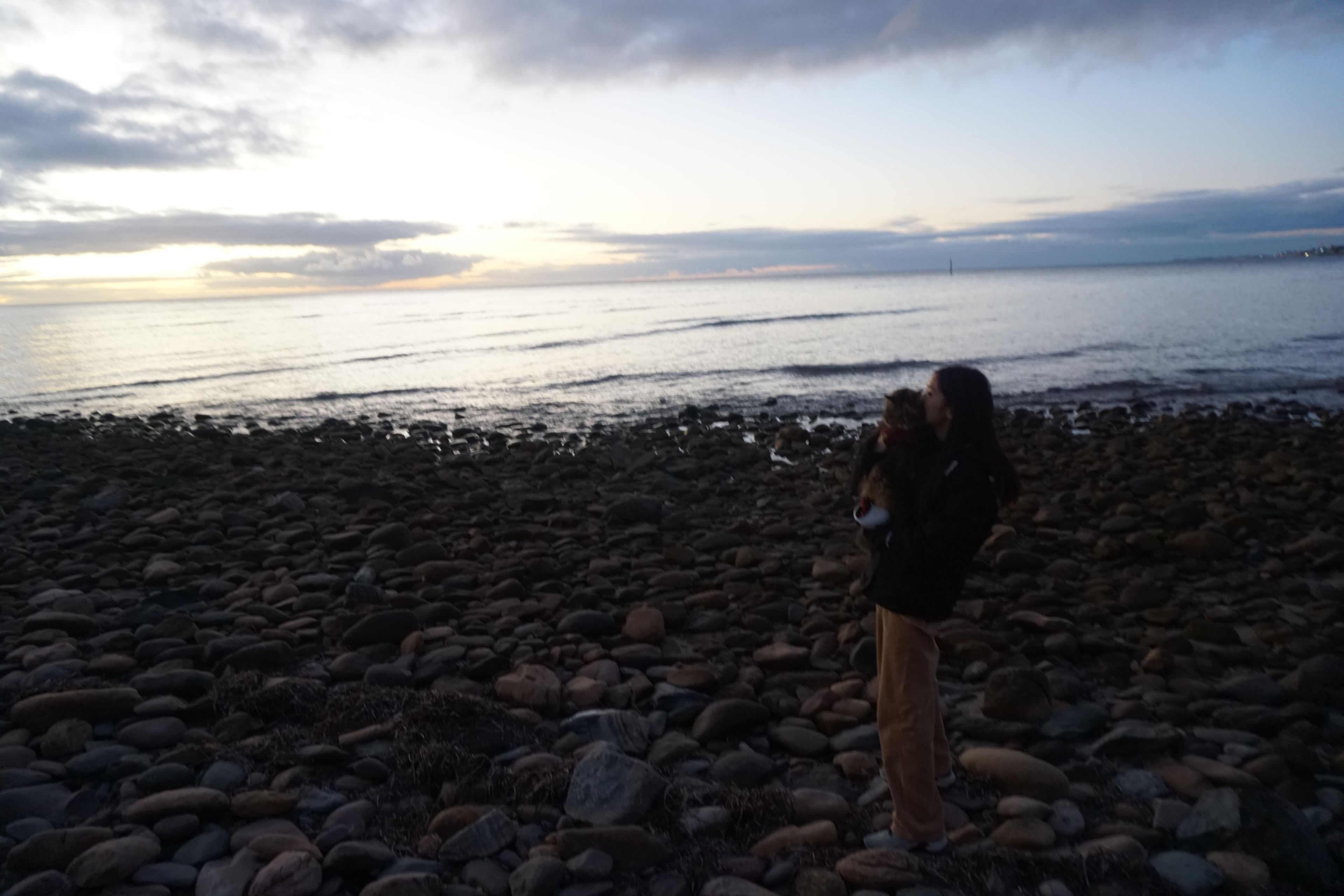 image-3