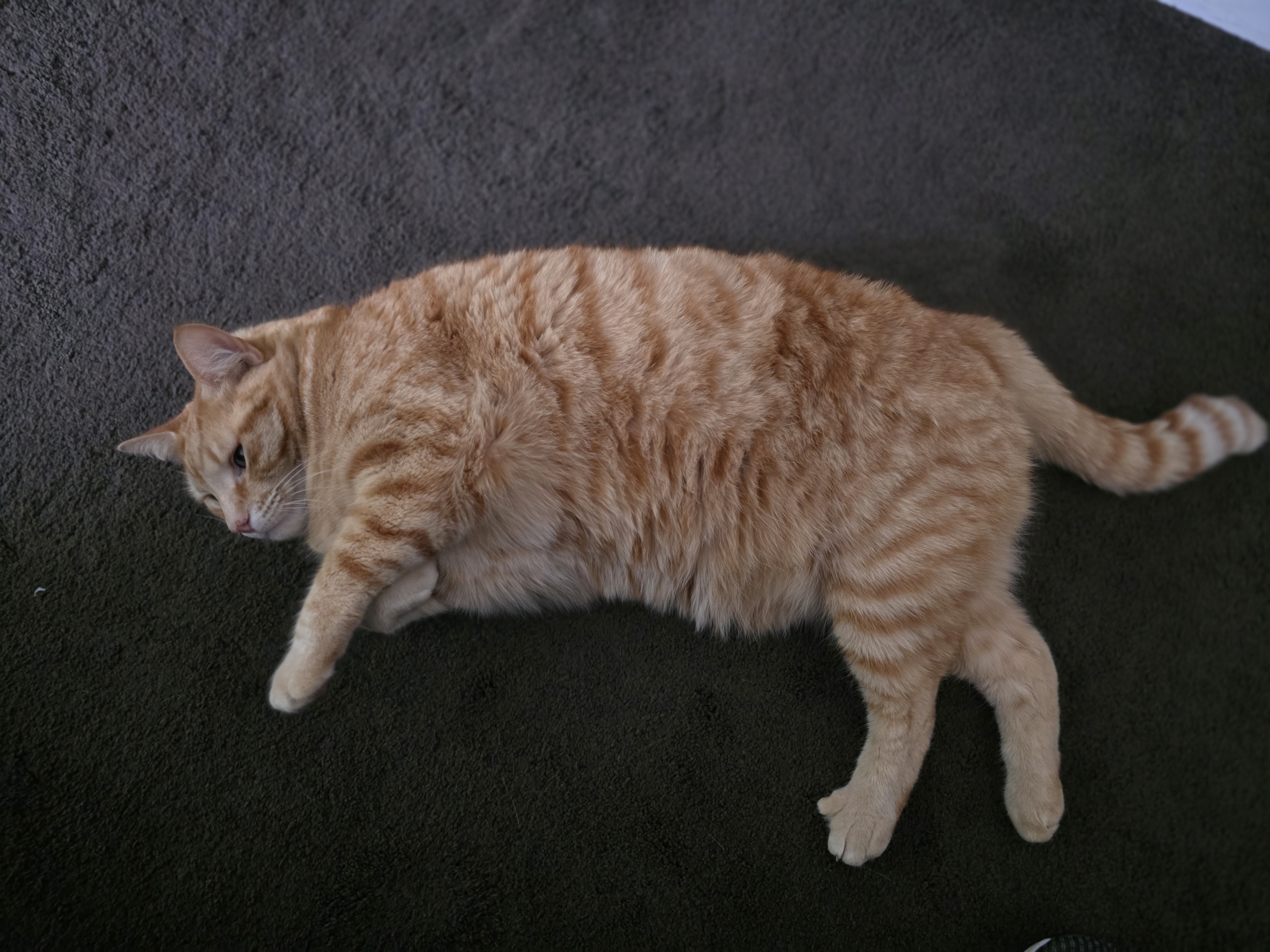 image-6