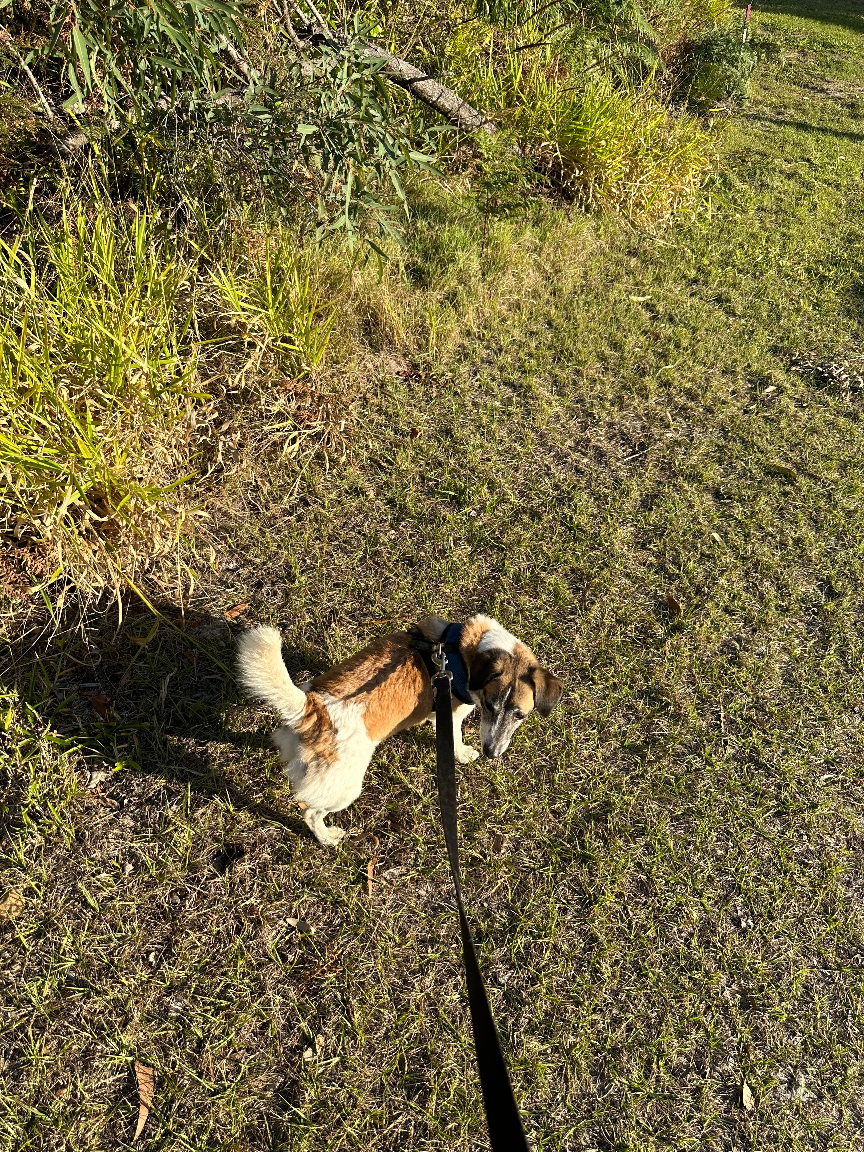 image-10