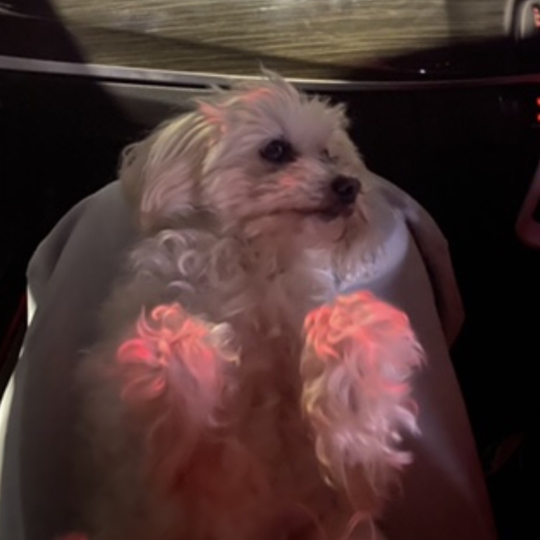 Lola