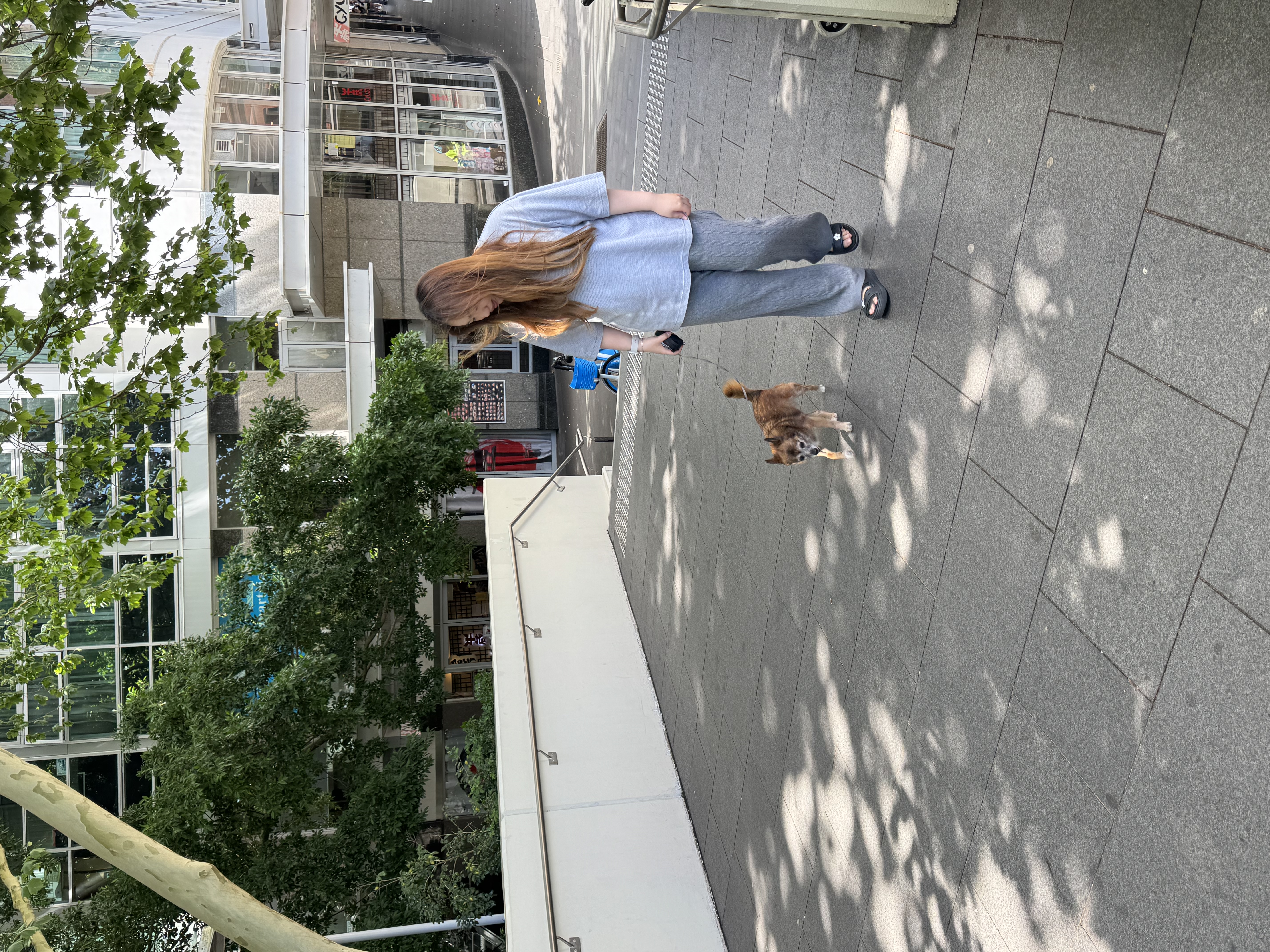 image-16