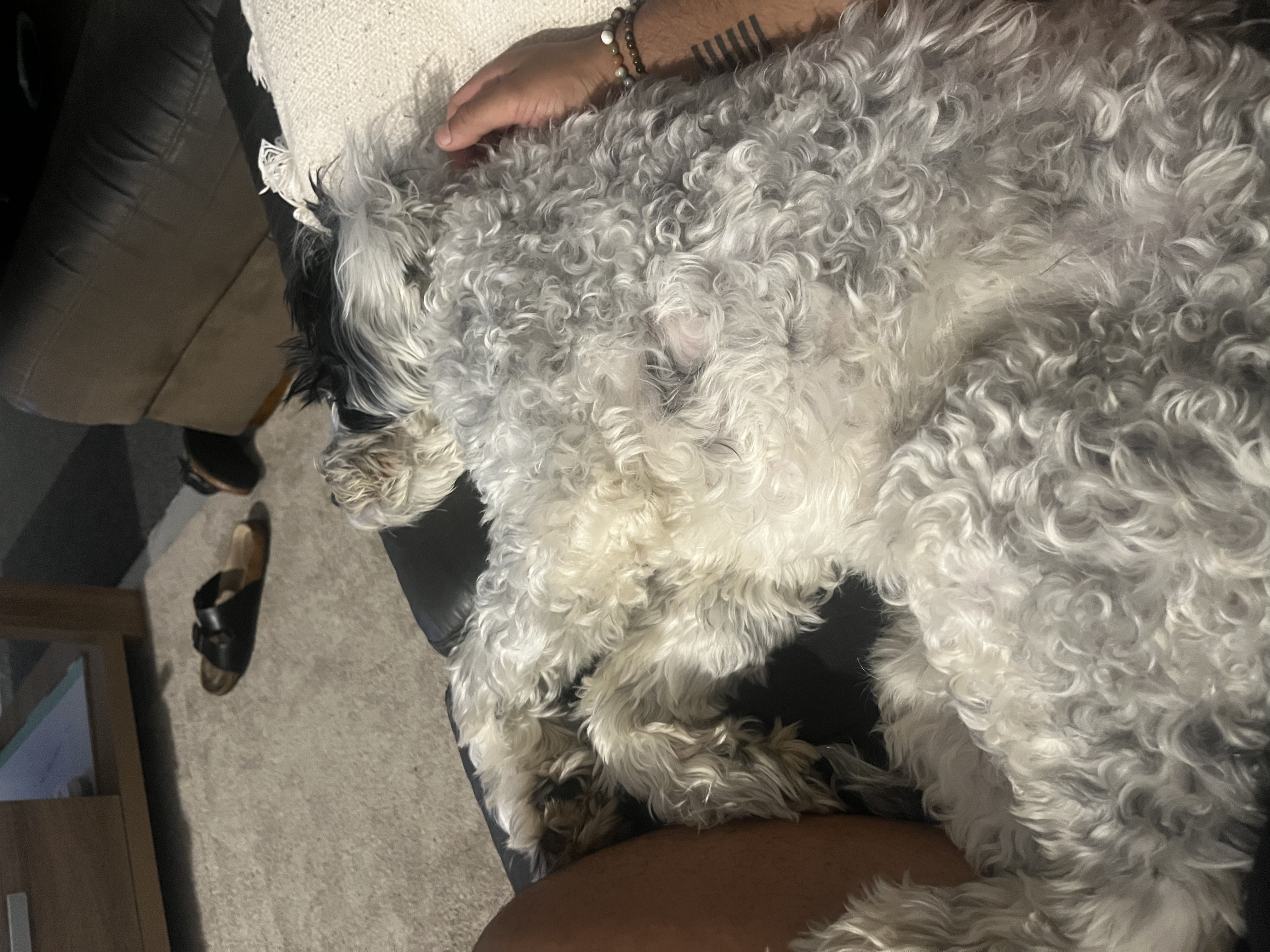 image-6