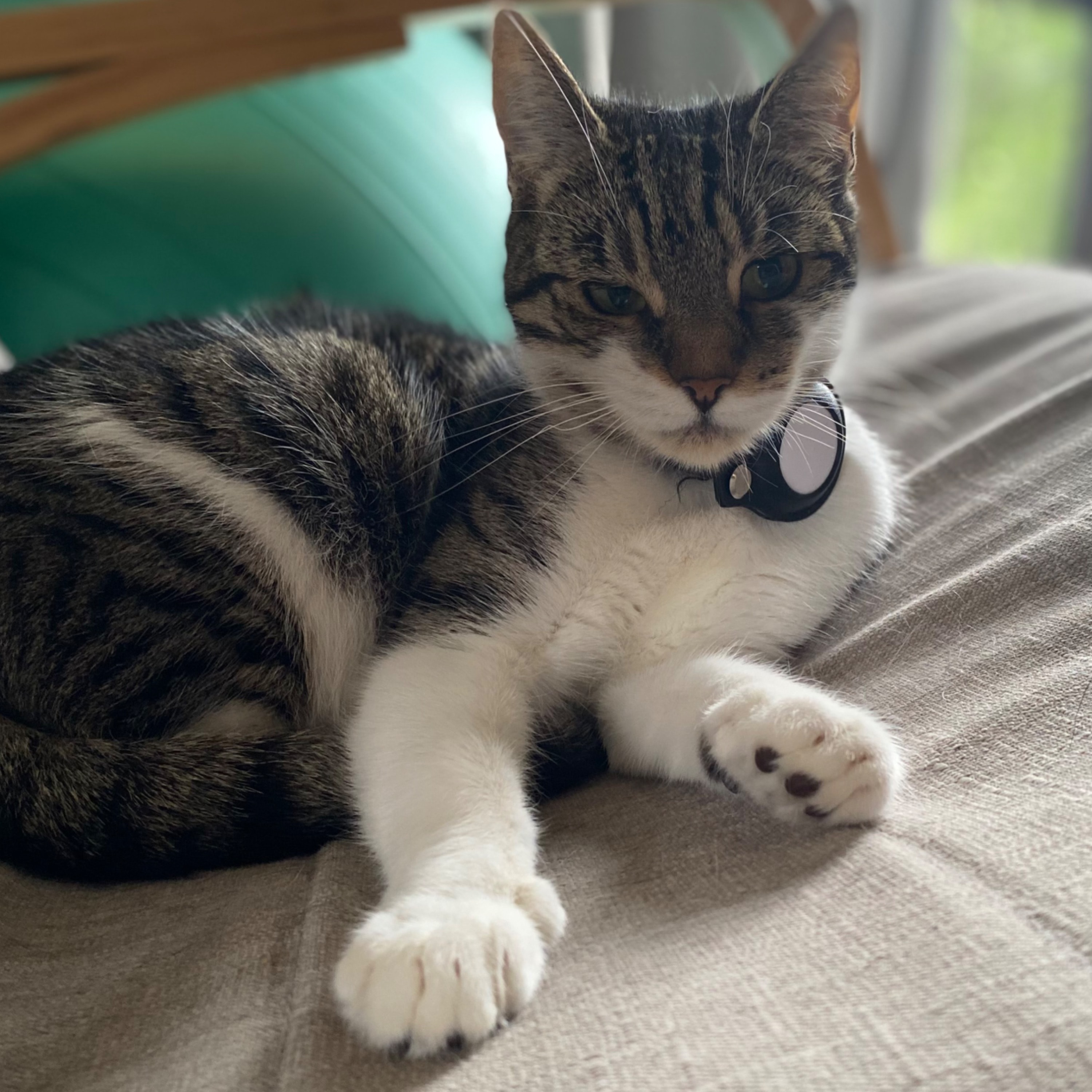 Agatha
