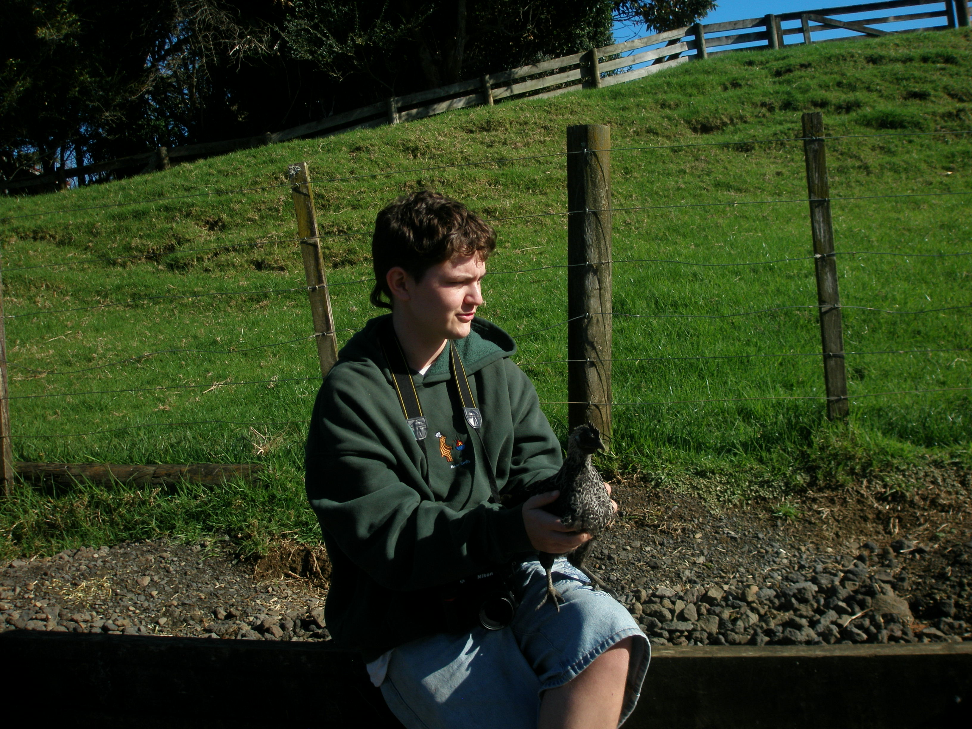 image-11