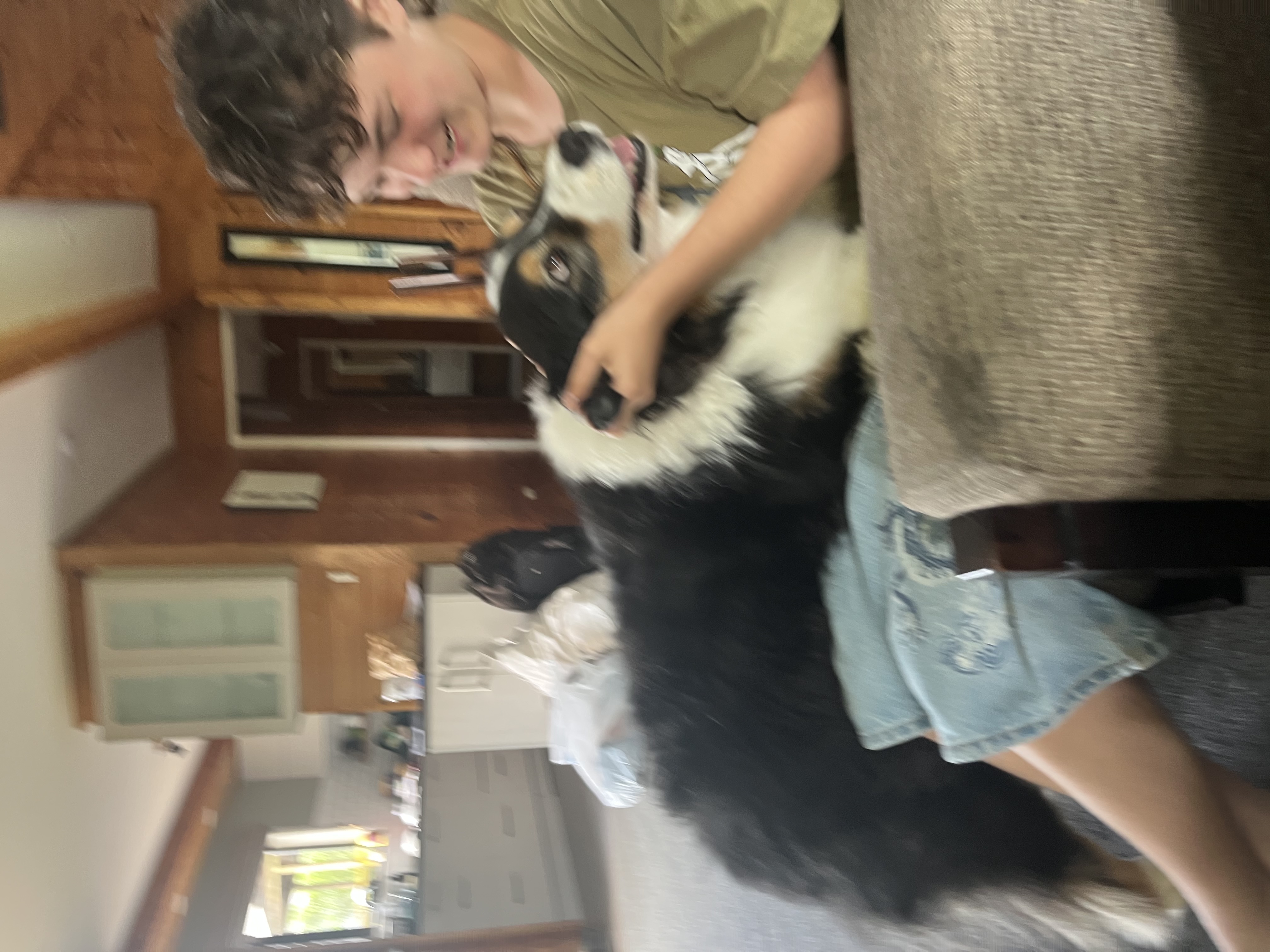 image-8