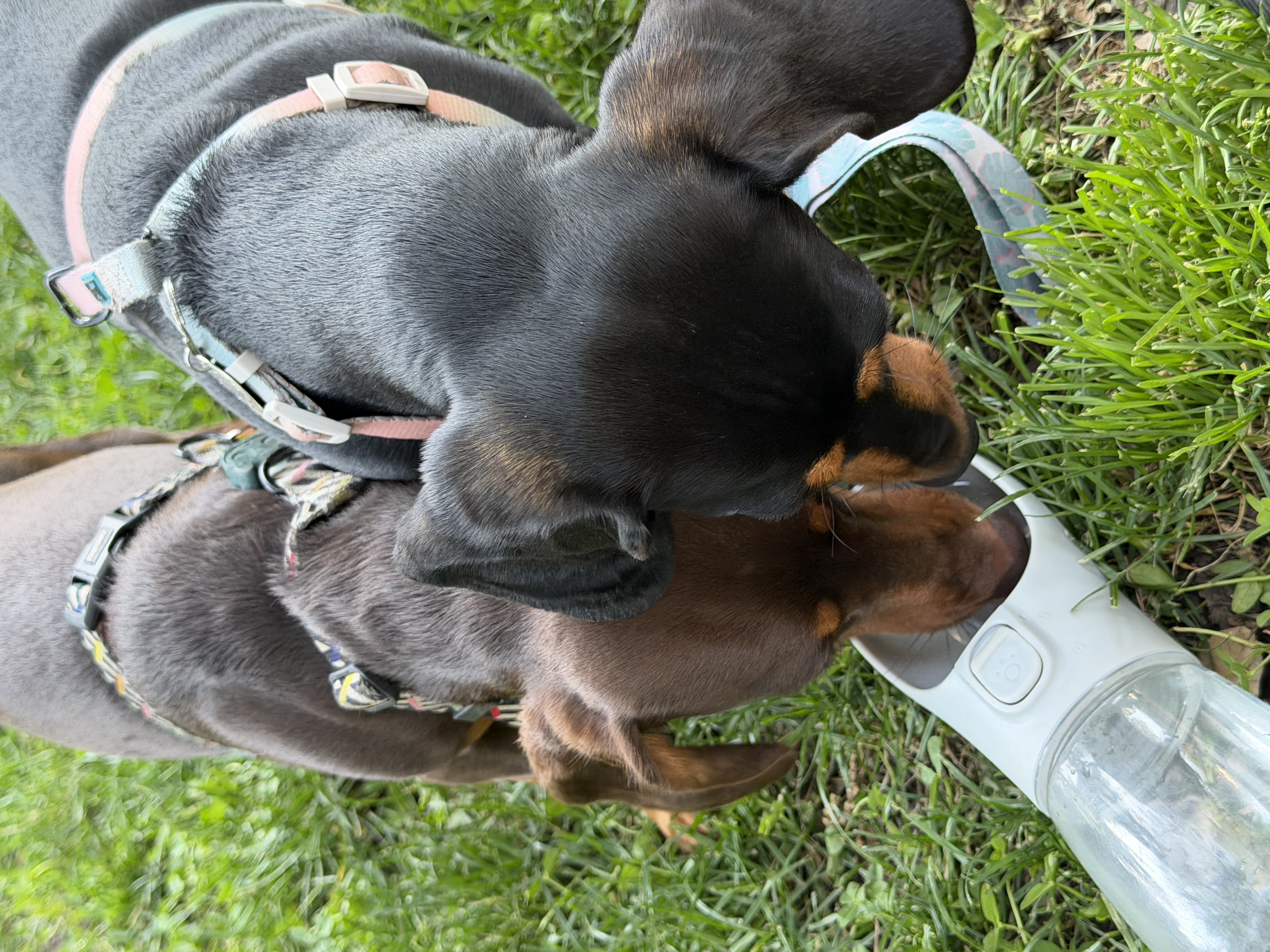 image-9