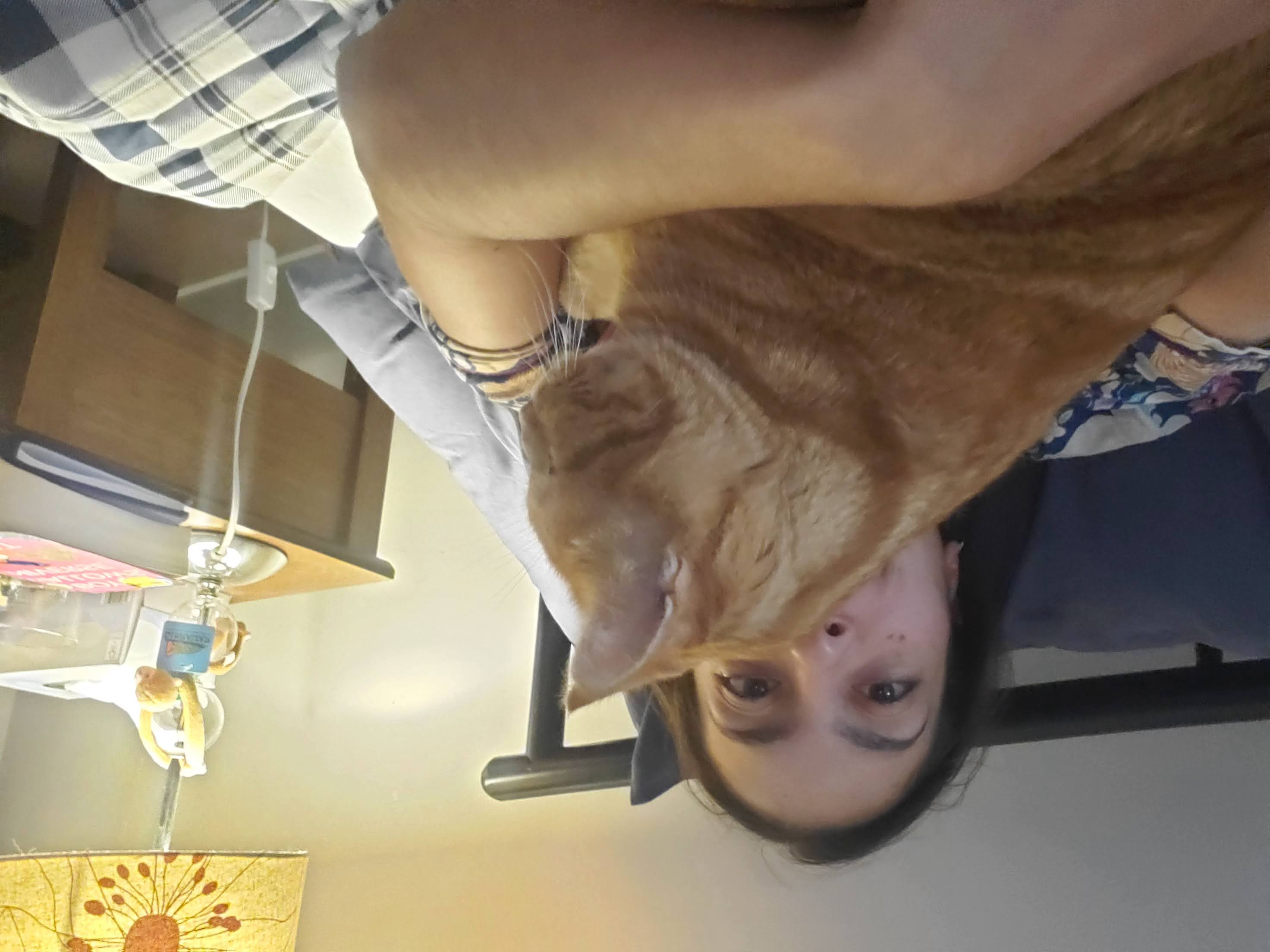 image-11