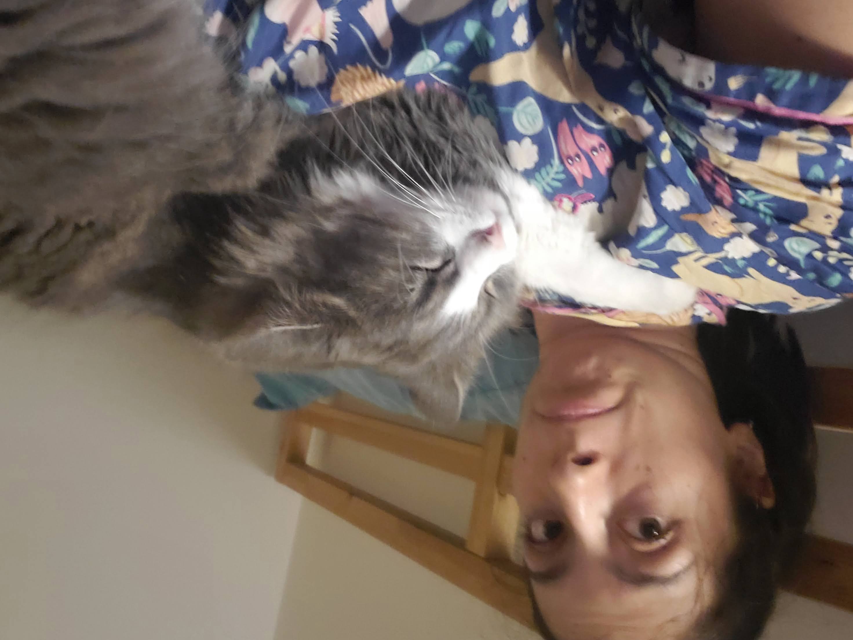 image-8