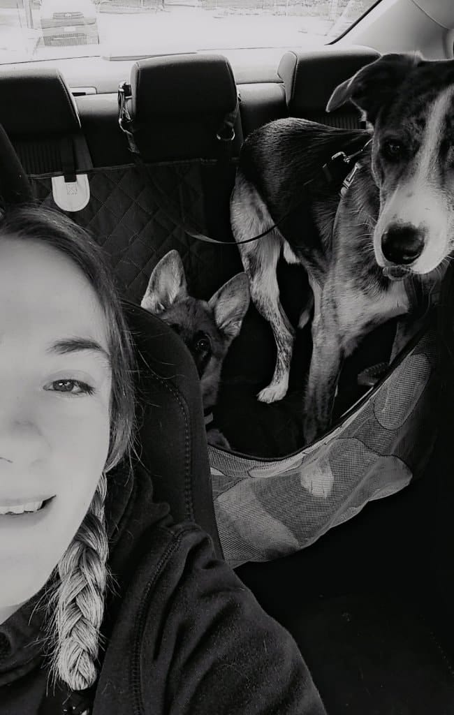 image-7