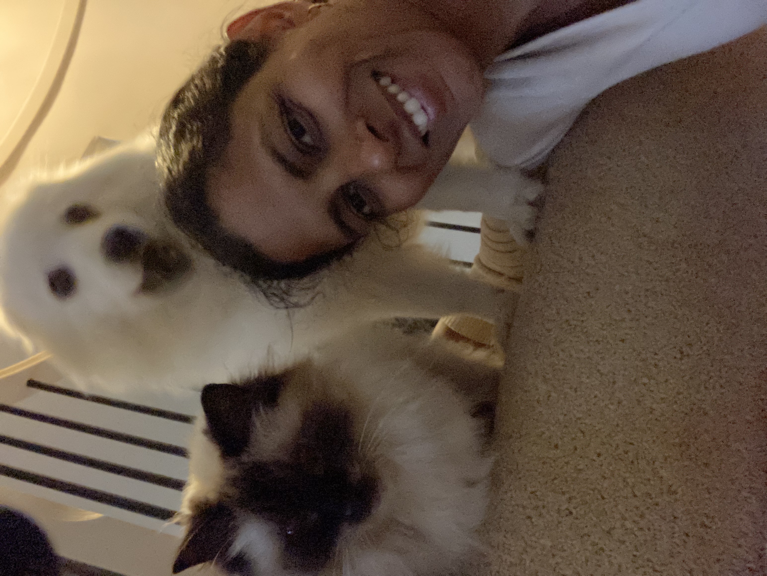 image-6