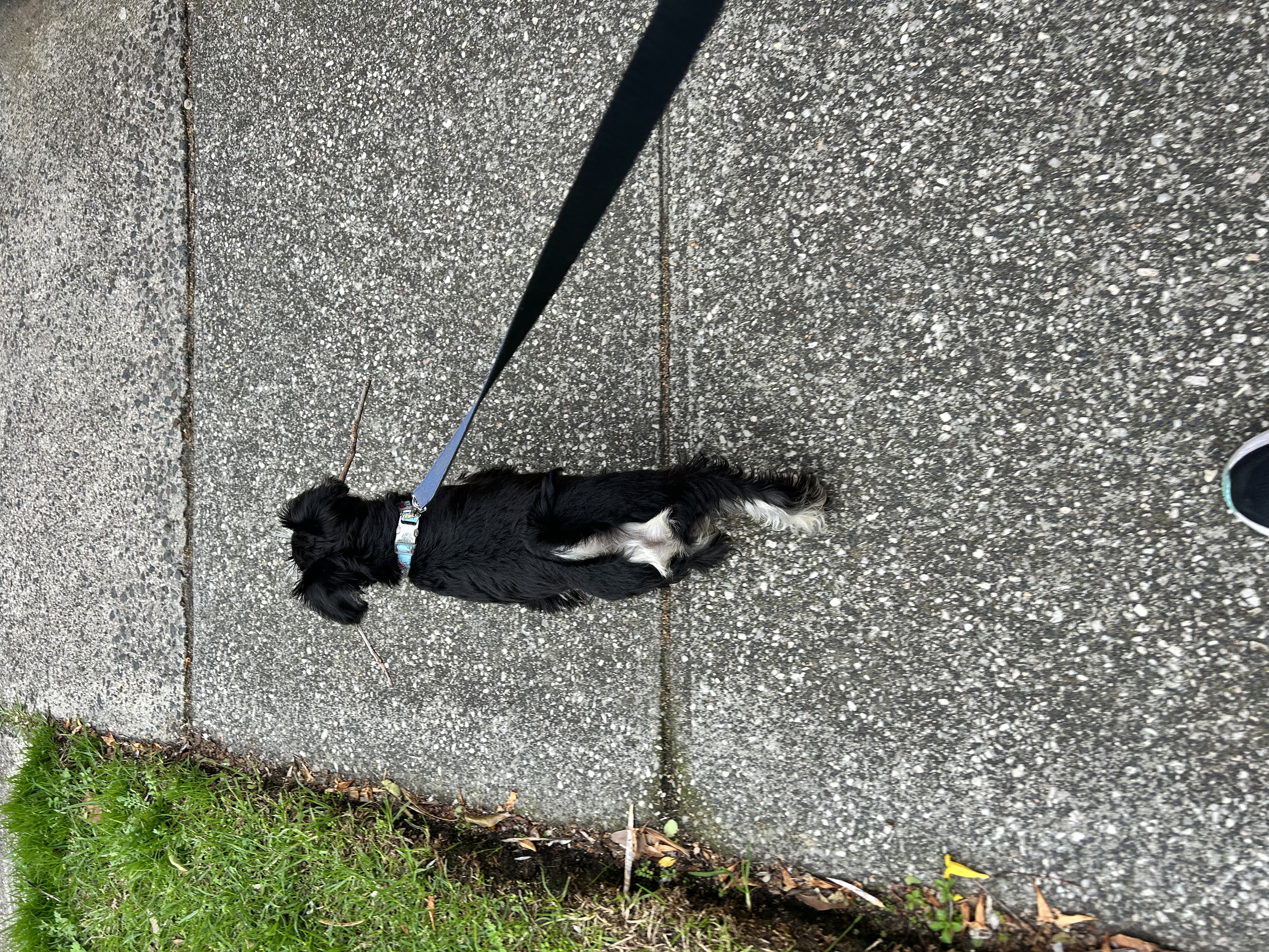 image-13