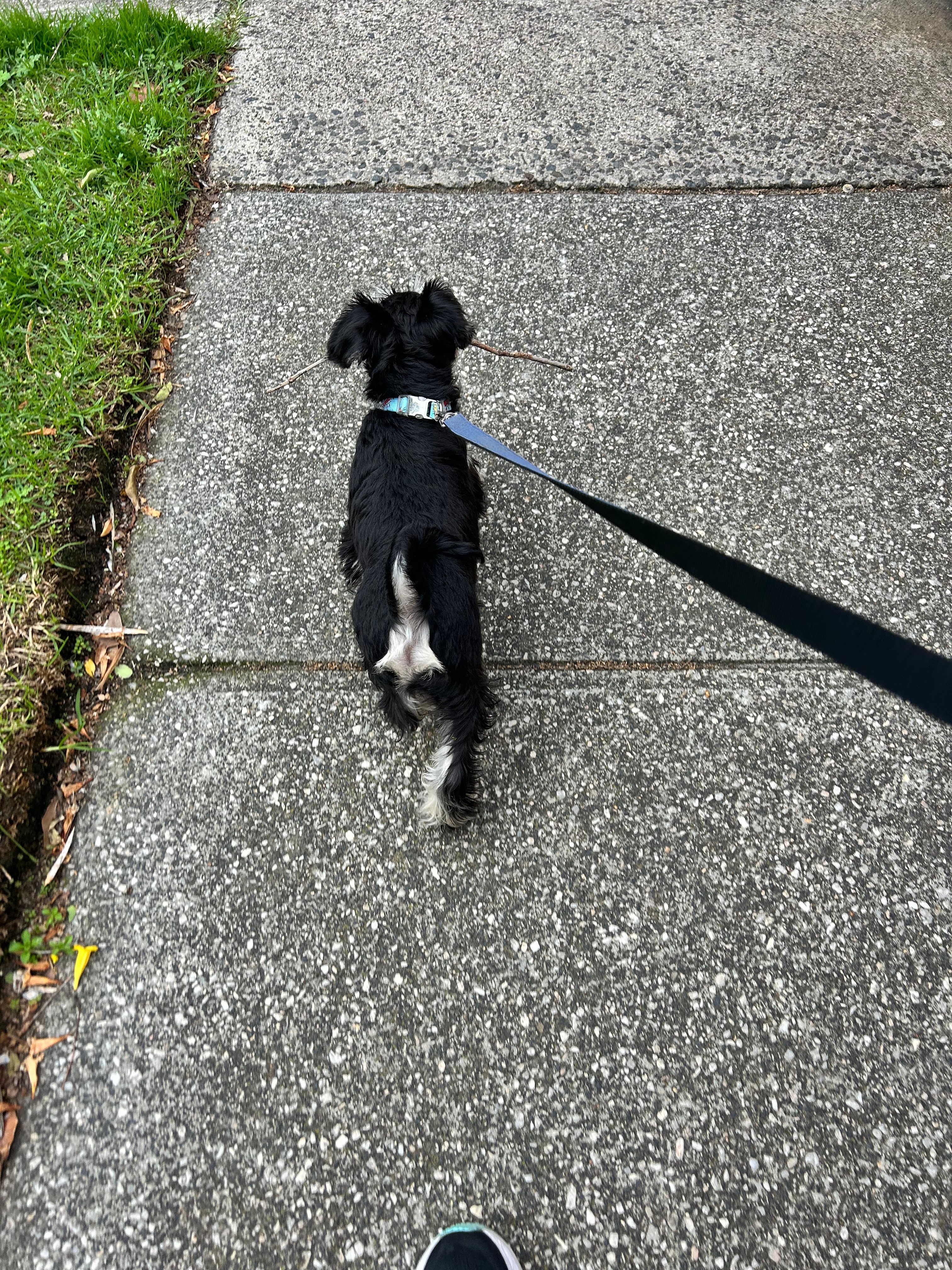 image-13